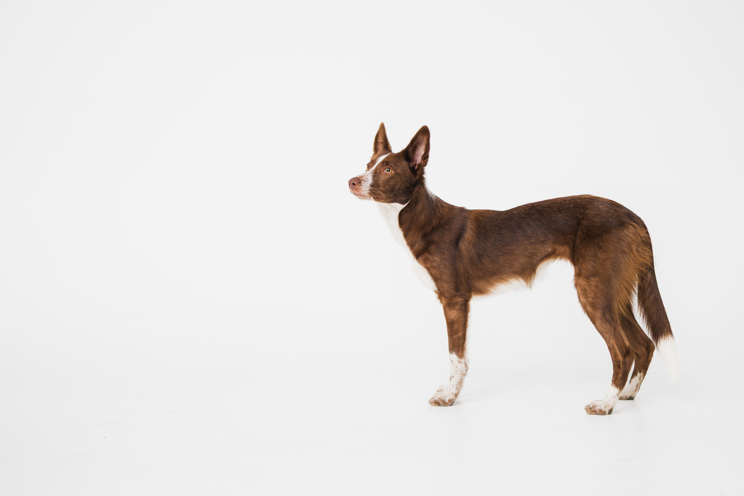 Воркшоп по импульсному свету