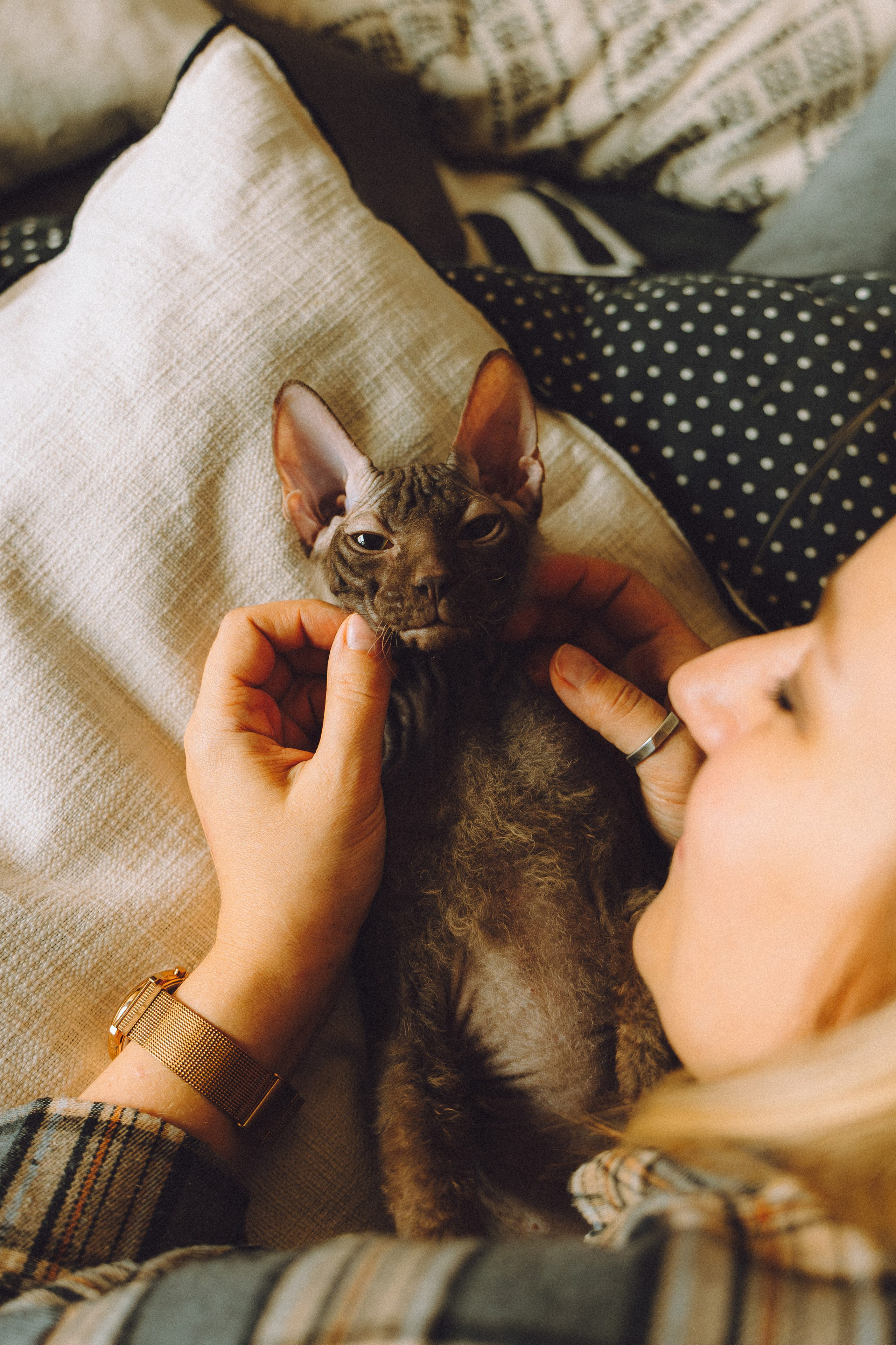 Кокос, Света, Динара и Вилли