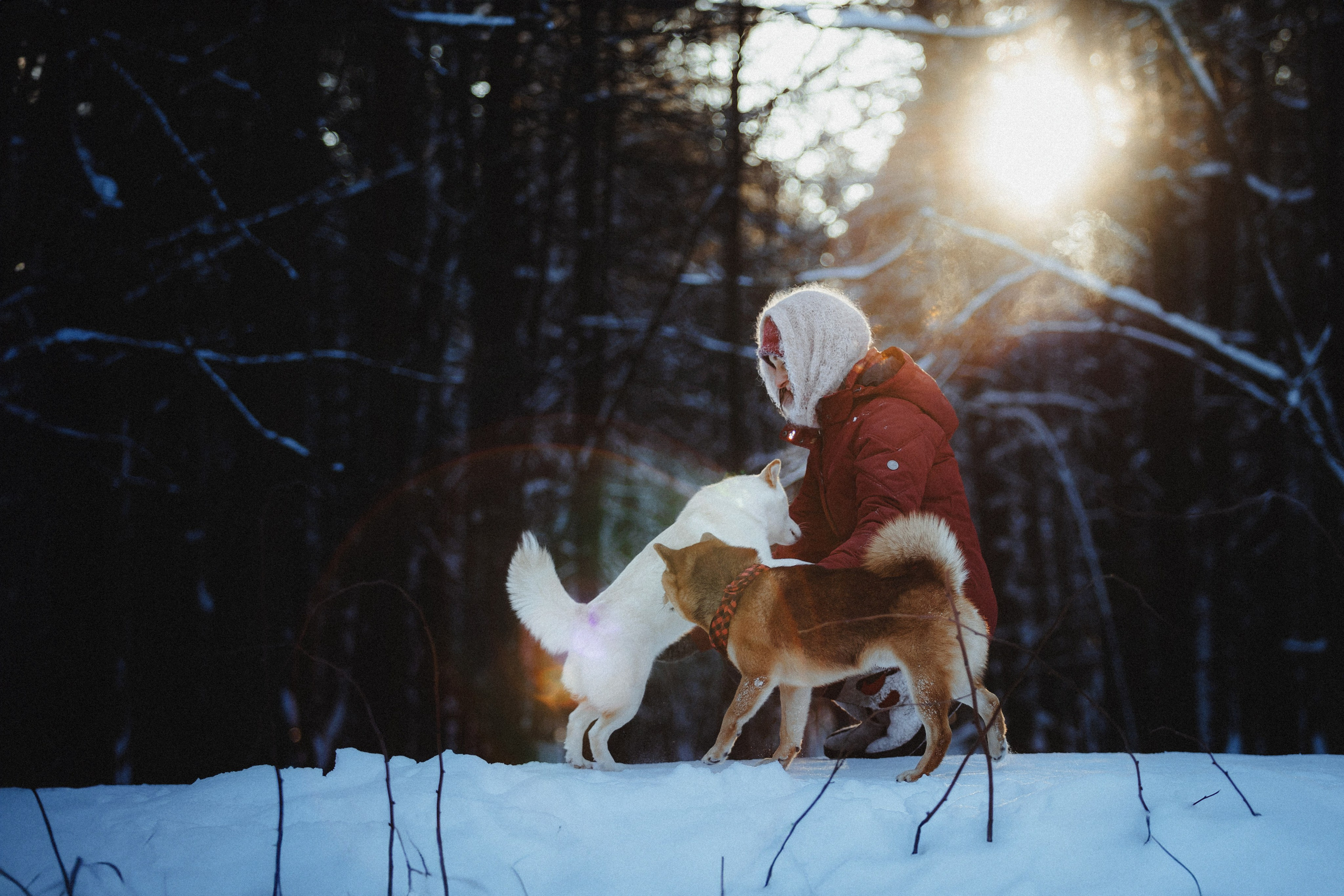 Шед, Цири и Ира