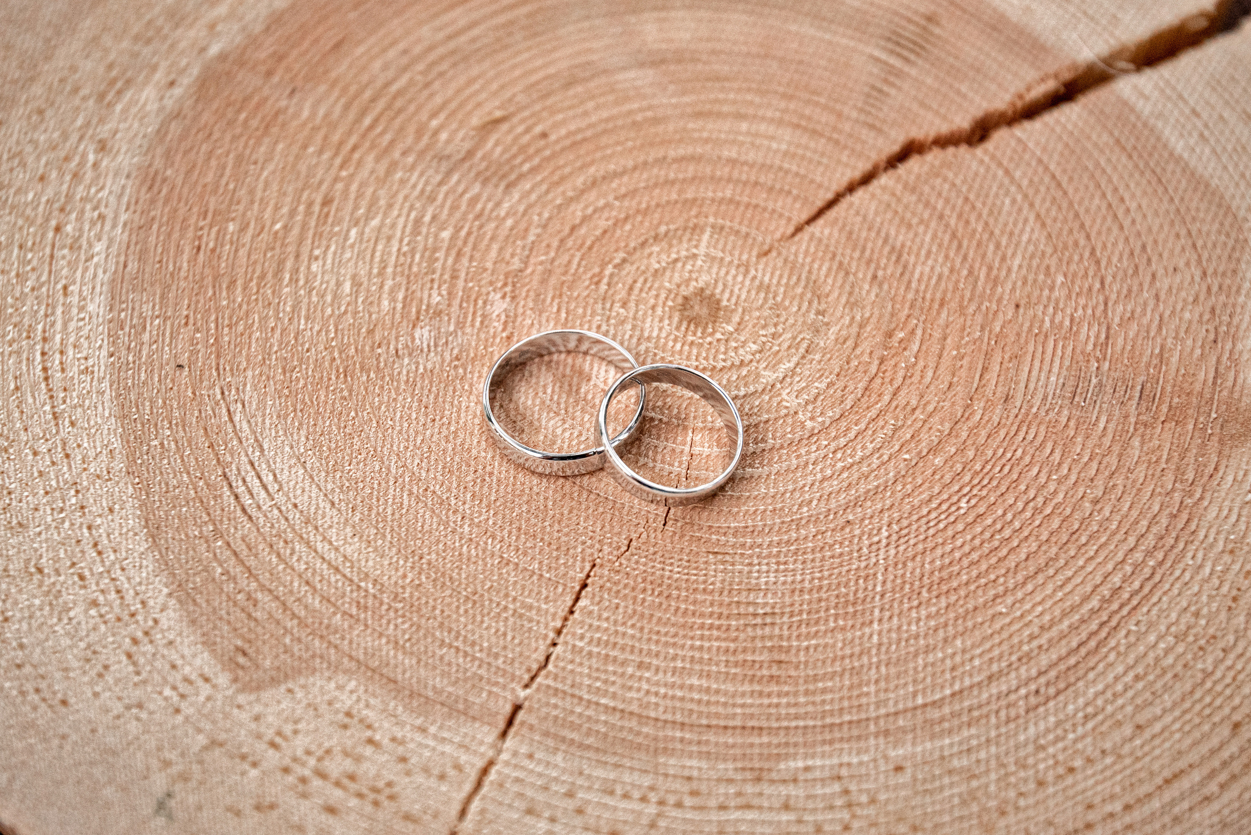 Свадьба на заливе. Свадебный фотограф Наталья Немцева в Санкт-Петербурге