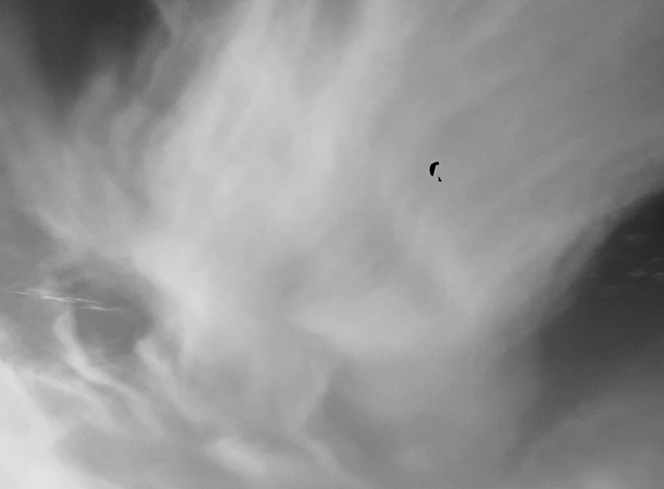 Решающий момент — авторская фотография Ма. Ма