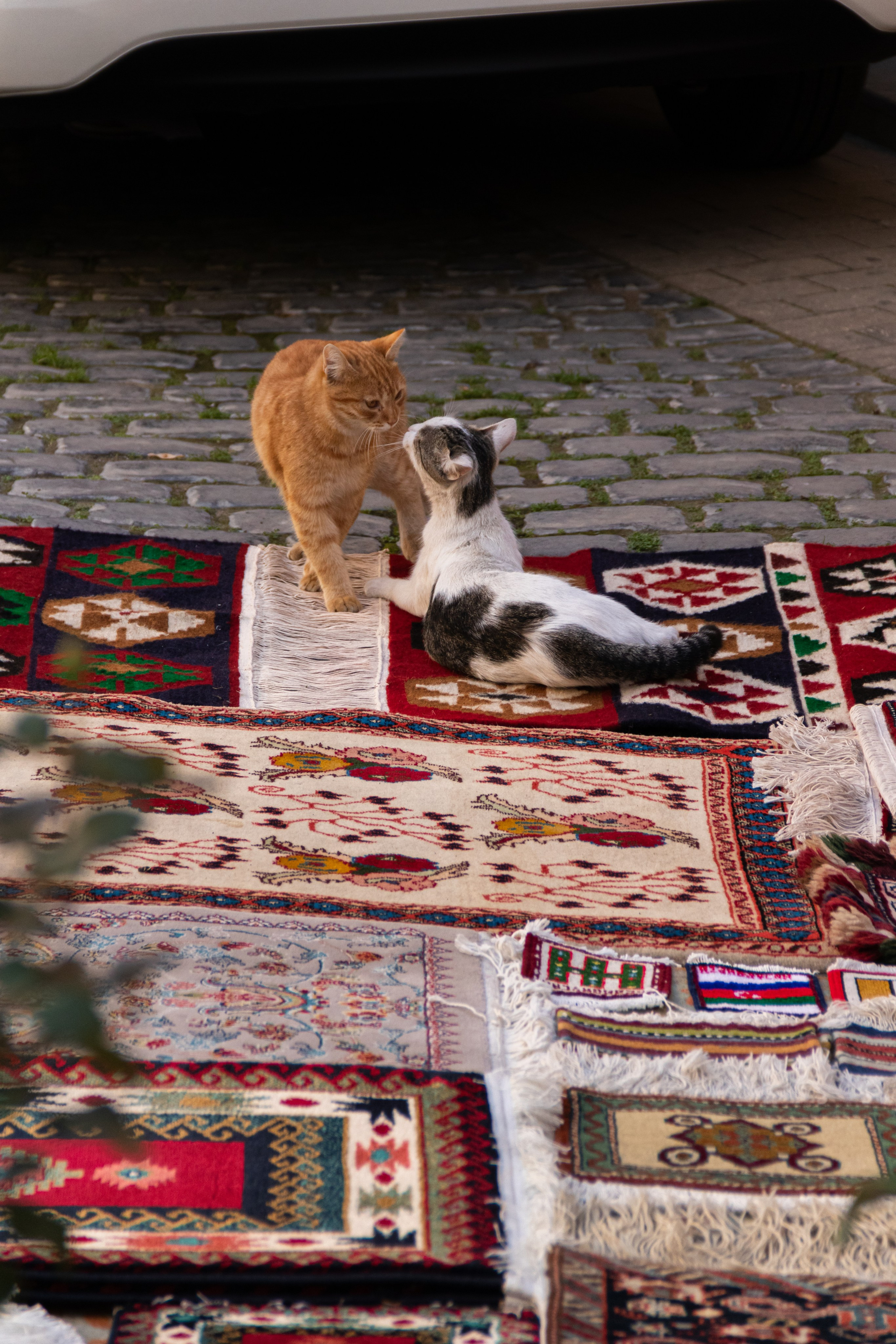 Баку. Наталия Фролова. Фотограф. Москва