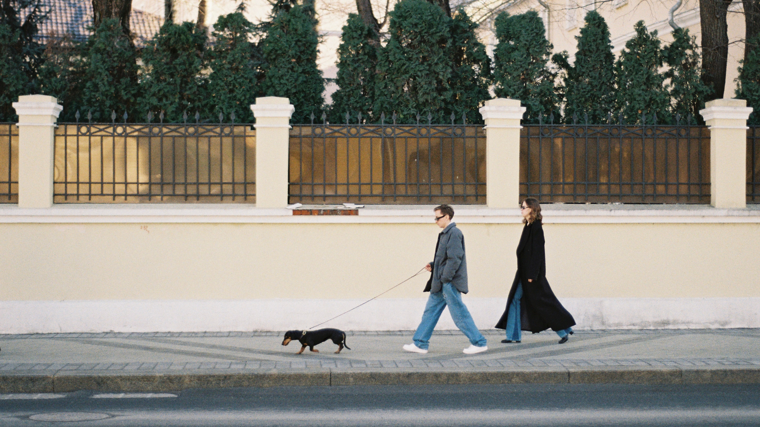 Весной 2025. ФОТОМЕТАОХОТА