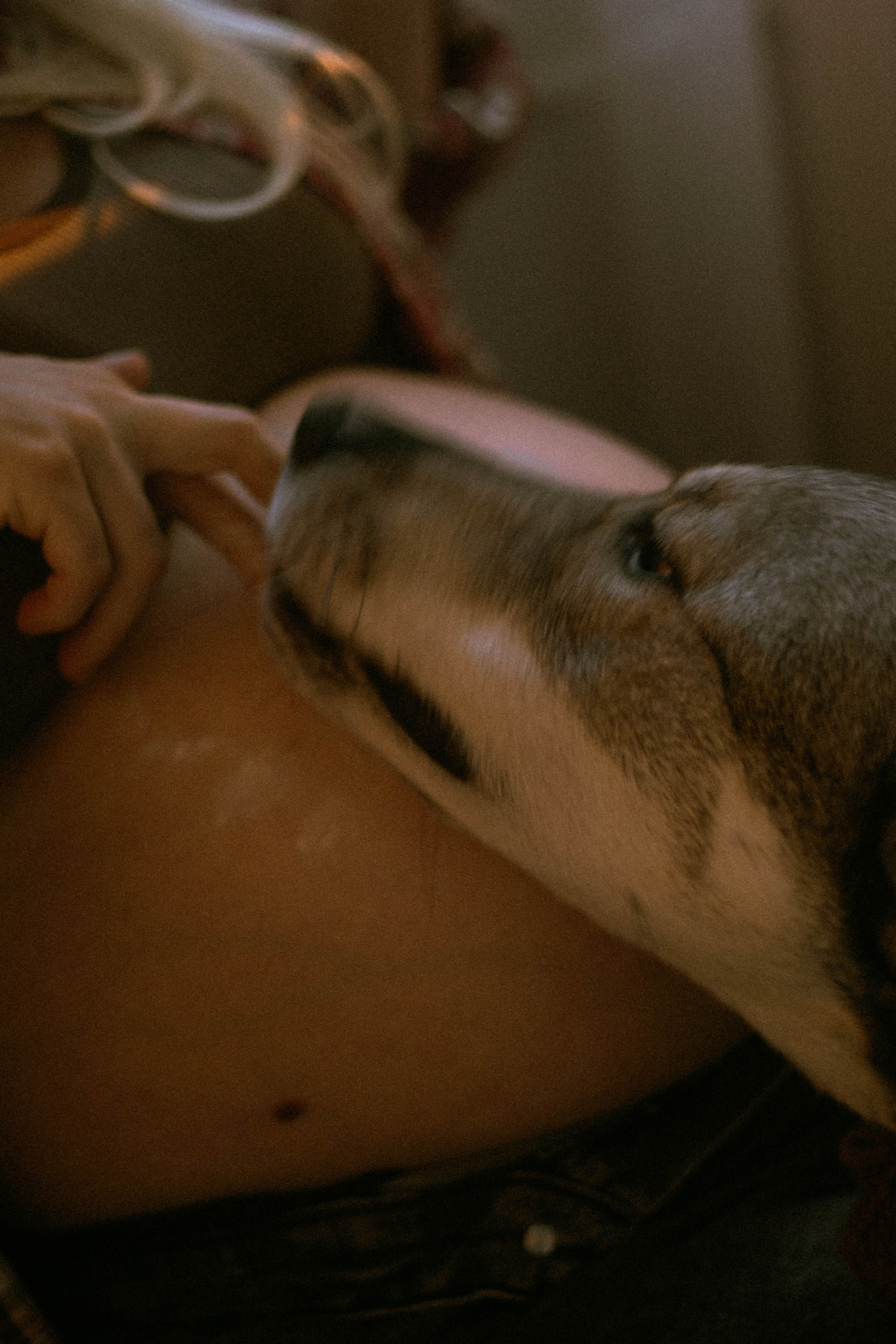 Диана, Миша. Семейный фотограф Юлия Котова