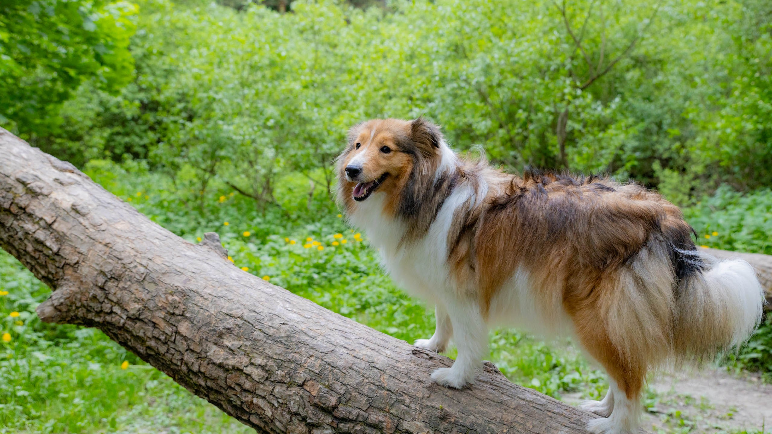 202405 Элис и Лора. Фотографии
