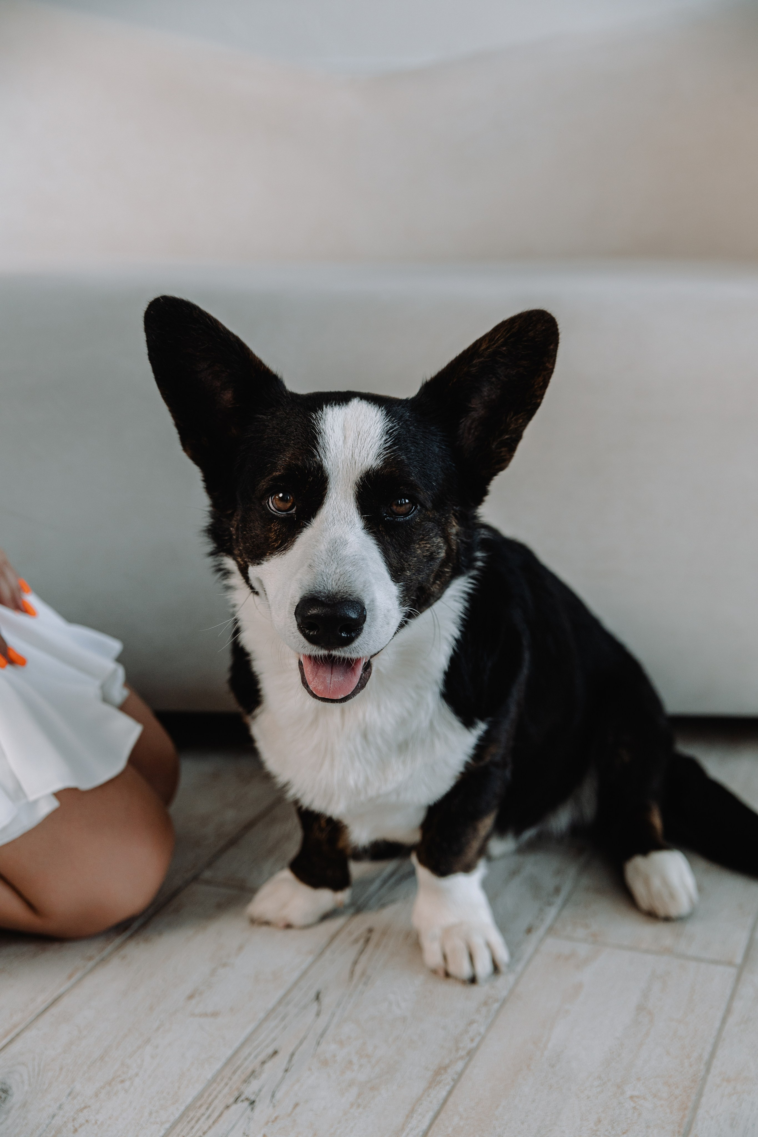 Евгения, Михаил и Дарина и собачка Чарли. Фотограф Воронеж Варвара