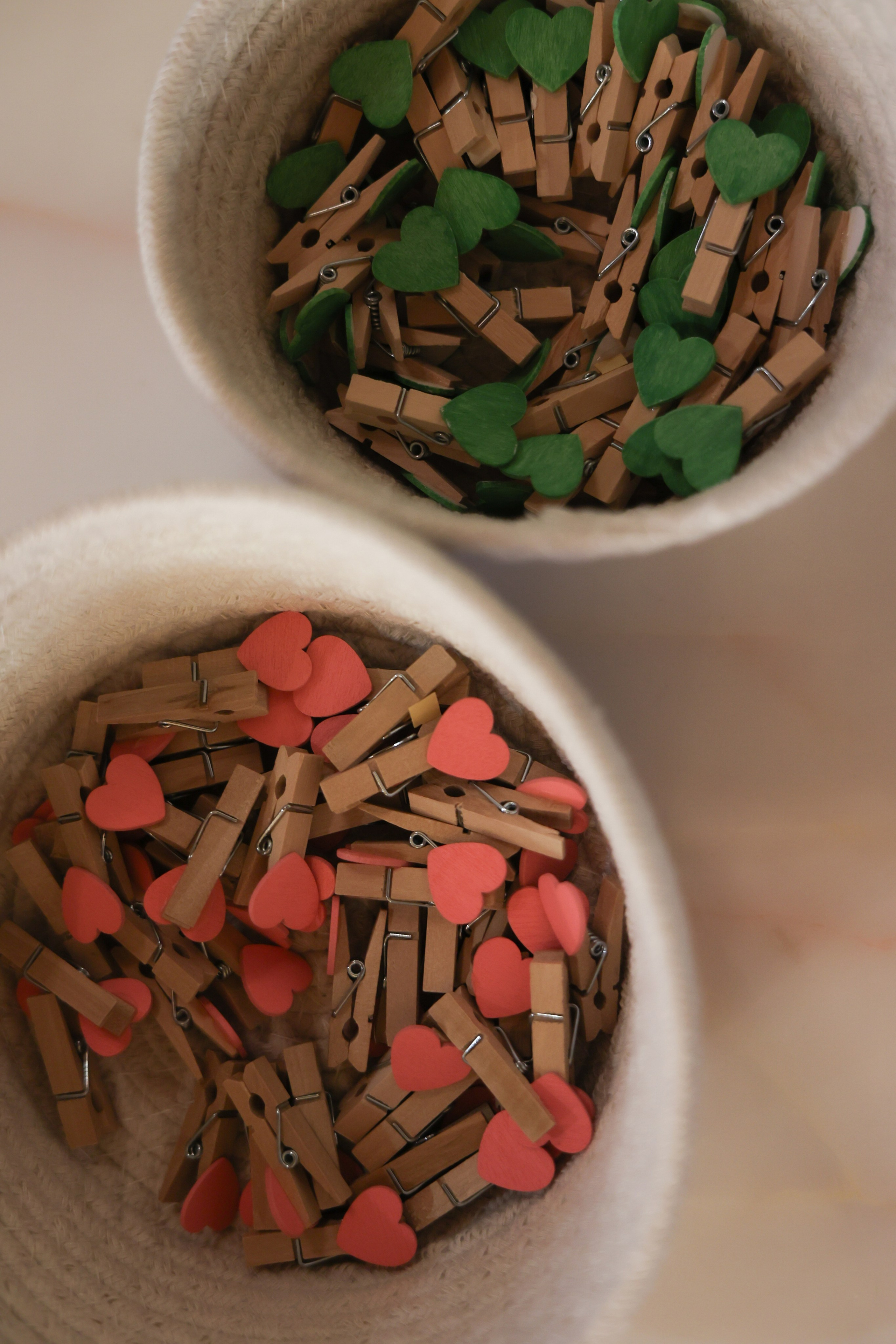 Серафимыч в пути. Фотограф НатаФото (Наталья Яковенко) Дмитров Москва Питер