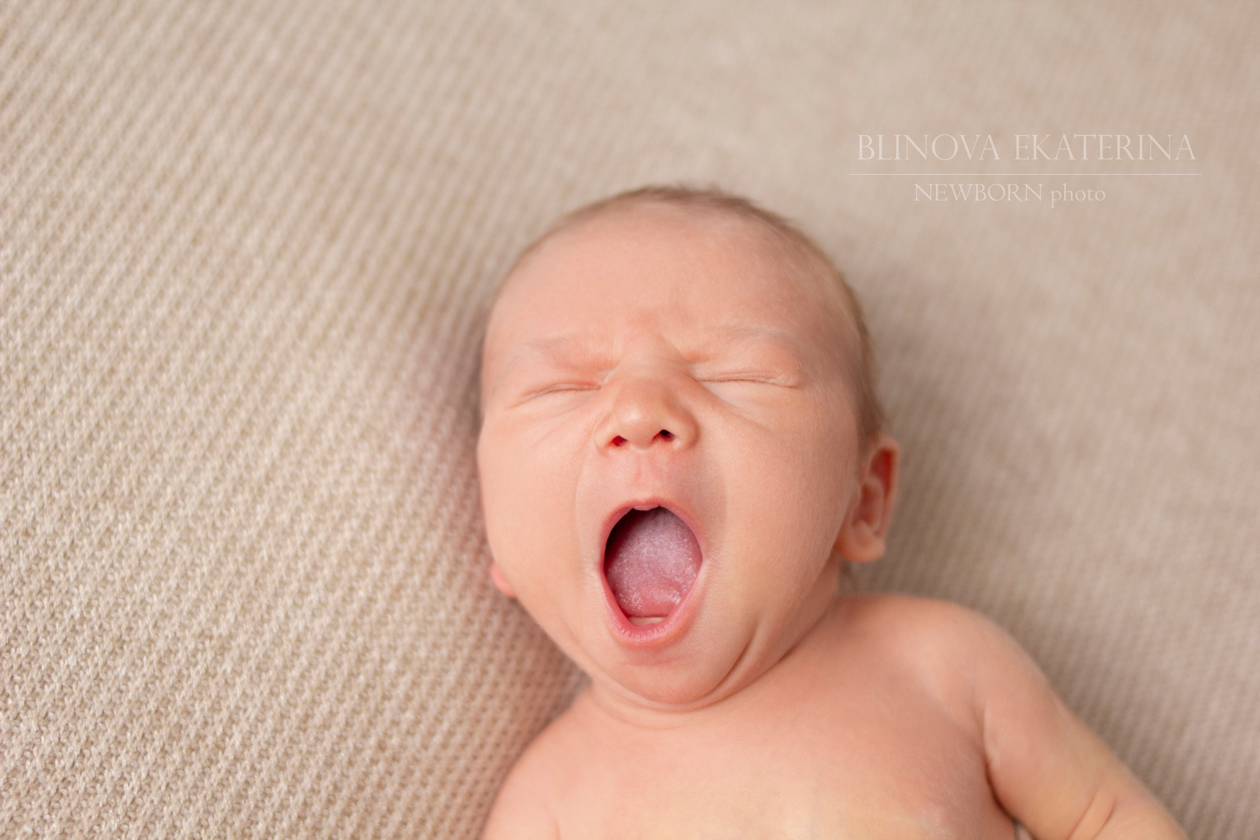 Фотограф новорожденных и семейный фотограф в Санкт-Петербурге