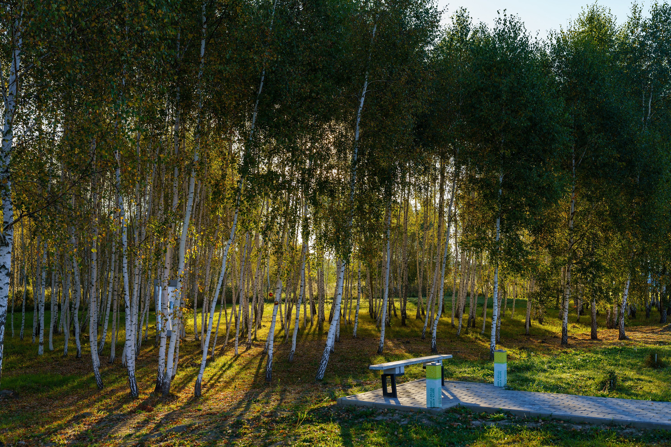 Фотографии Трейл Калужская взлётка 2024. Фотограф спортивные события, недвижимость, турбизнес