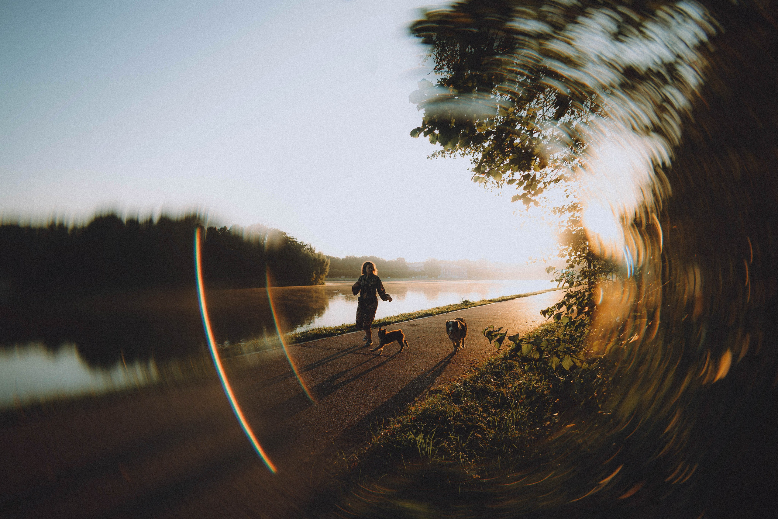 Лена, Принц и Фенек