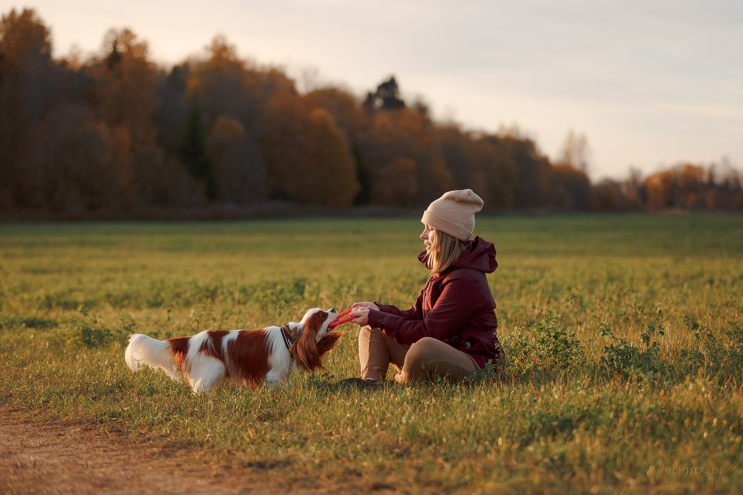 Октябрьский закат в полях. Алина и Лео. Фотограф-анималист Наталия Чистюхина в г. Сосновый Бор и ЛО
