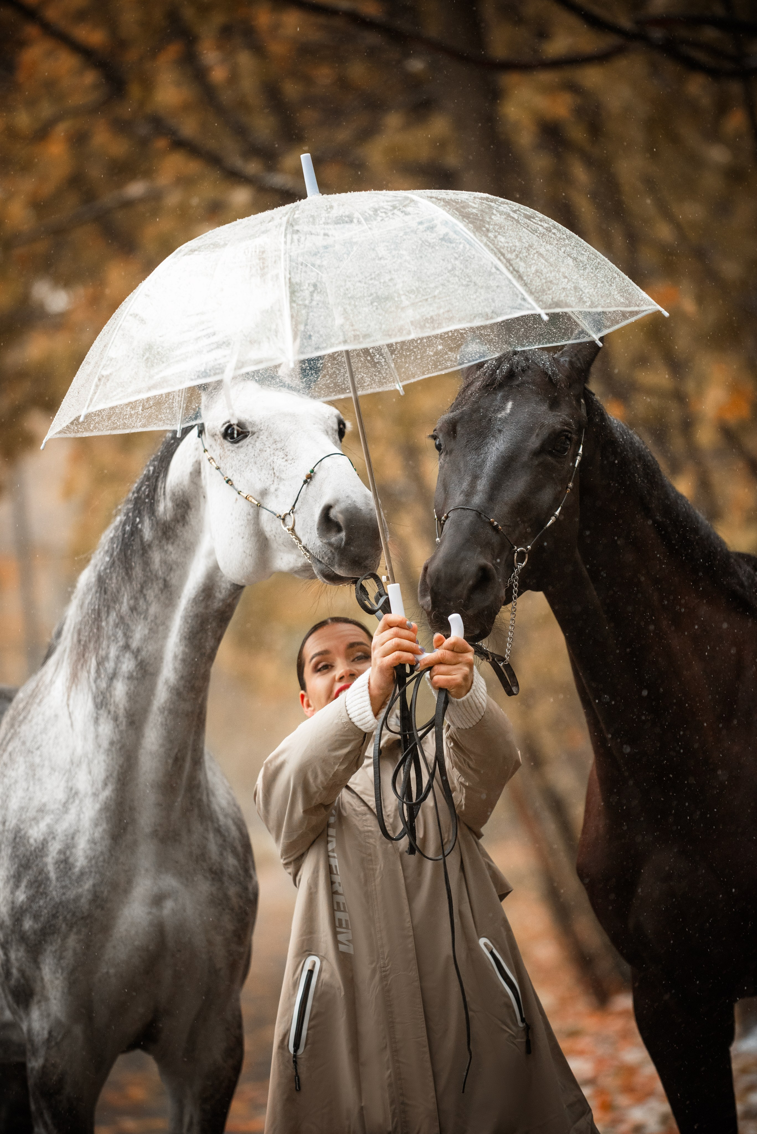 ЮНА «Осень». Куракина Дарья • Конный фотограф