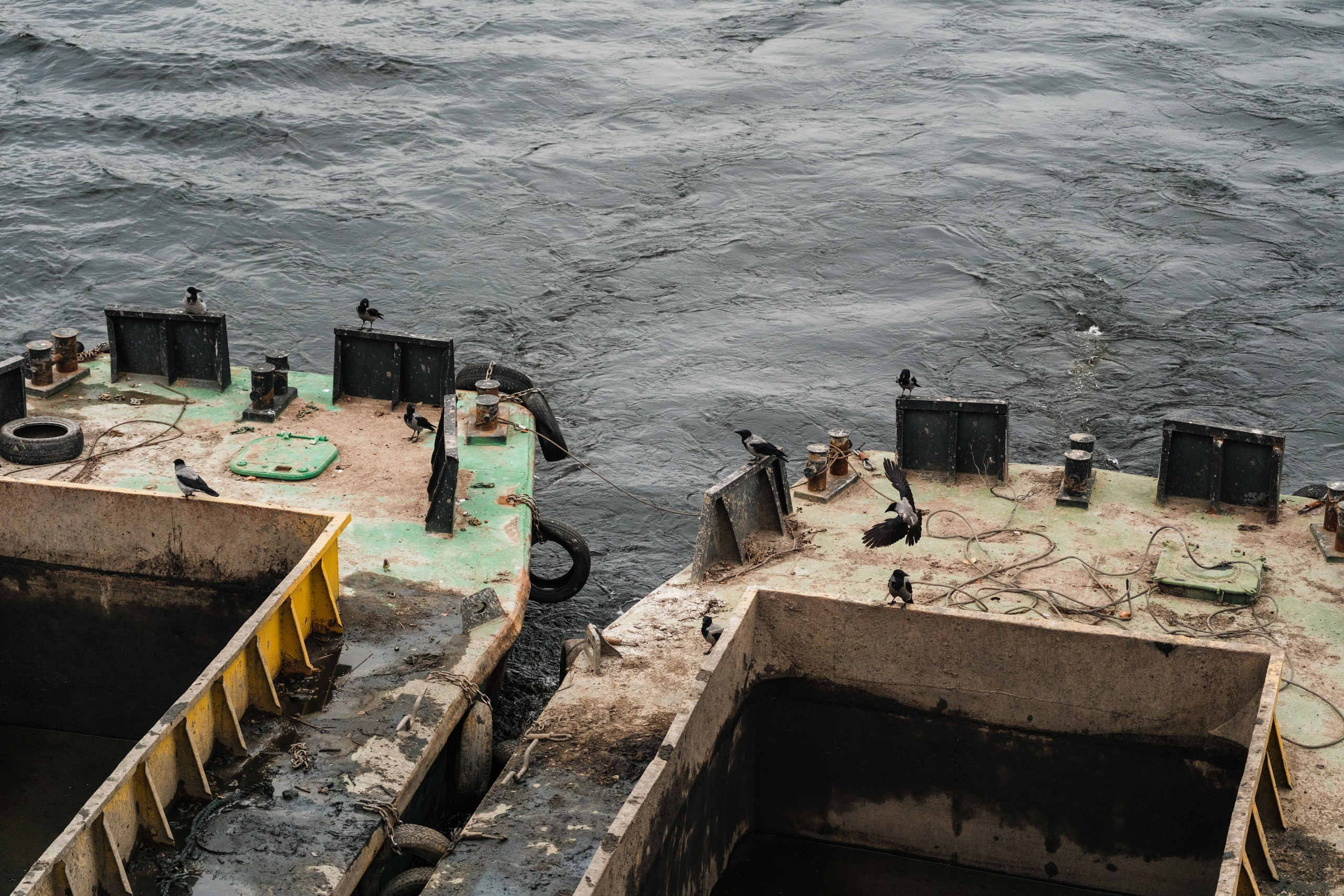 Street. Фотограф в Санкт-Петербурге Шевцов Андрей