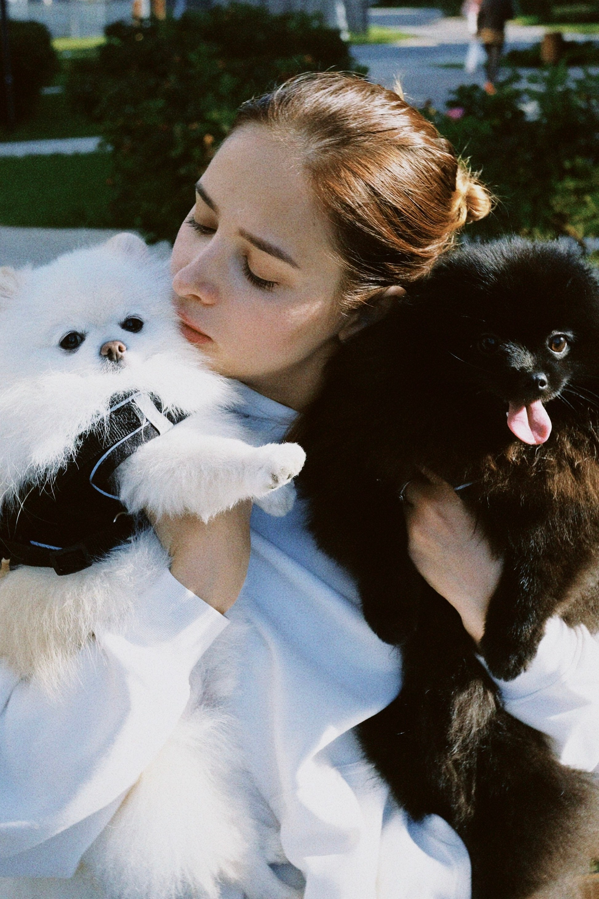 Прогулка. Татьян гертье