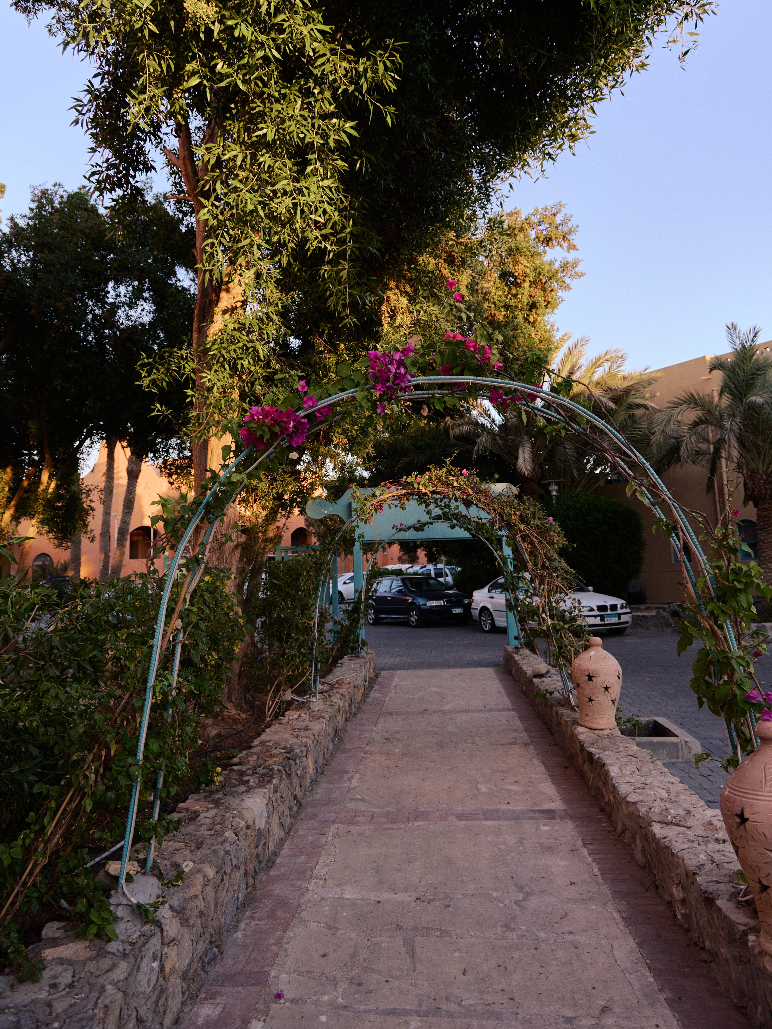 Другое 3. Jorgis — фотограф в Хургаде / обучение фотографии