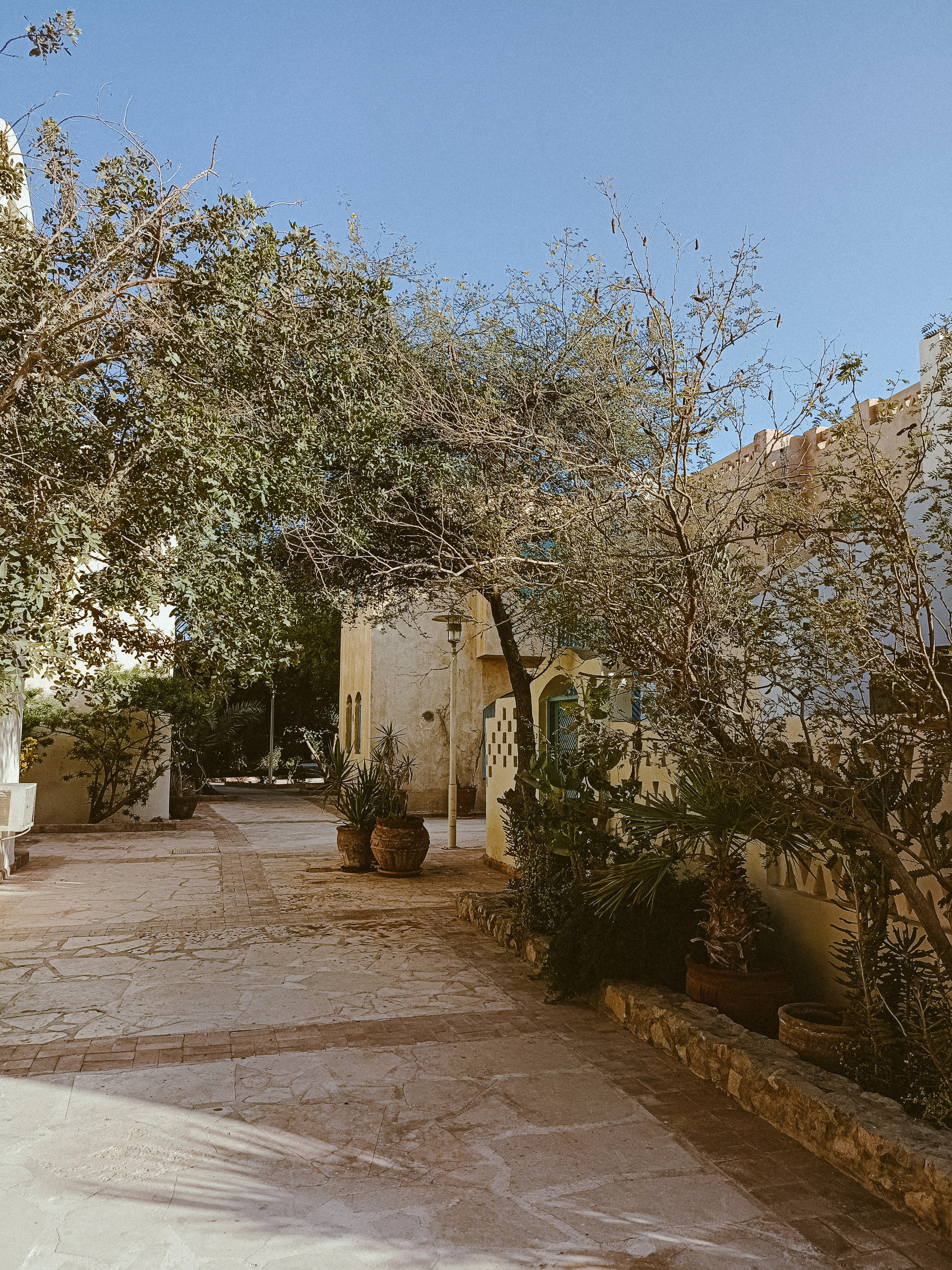 Мобильная. Jorgis — фотограф в Хургаде / обучение фотографии