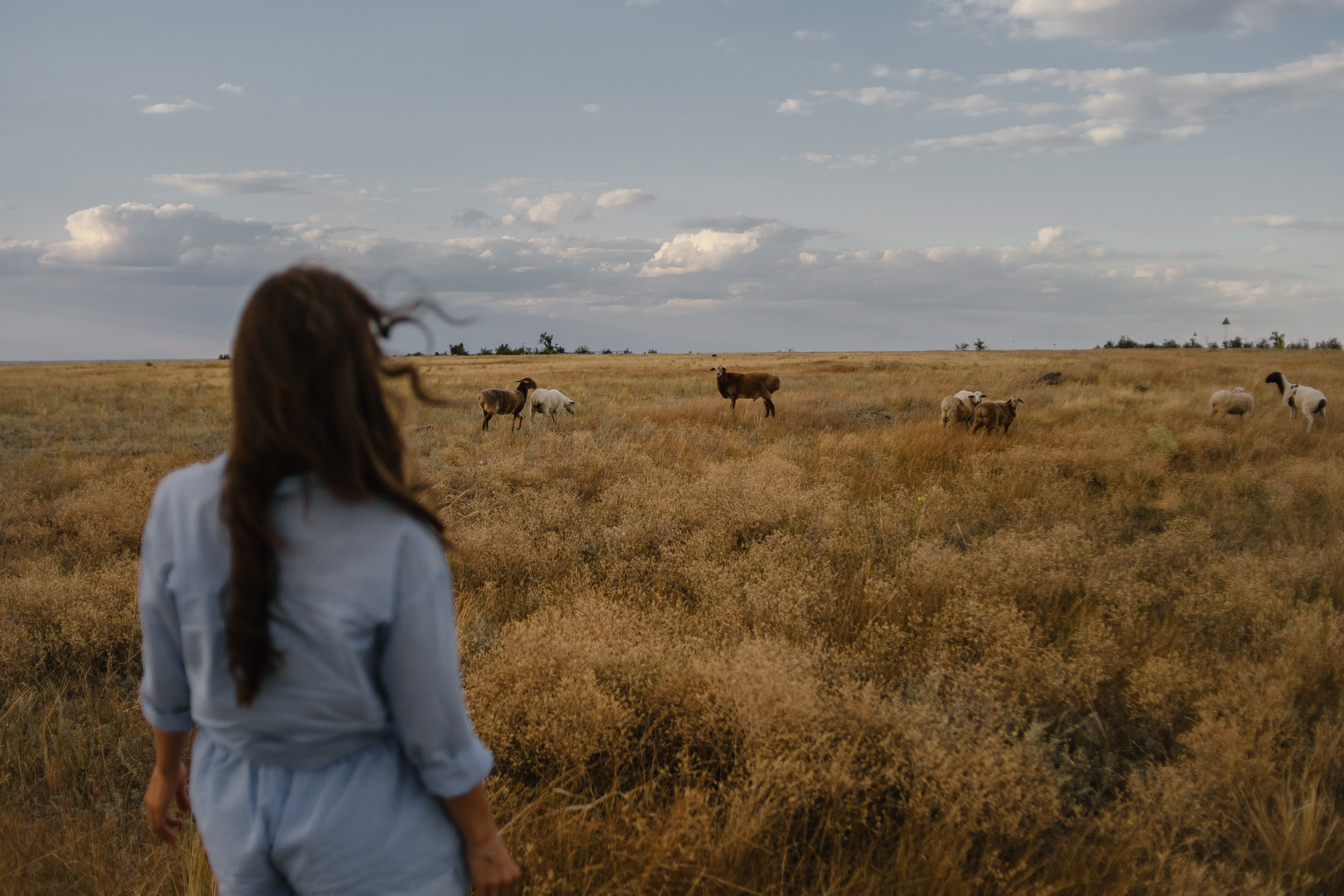Саша и Кристина. Семейный фотограф в Волгодонске Краченцева Анна