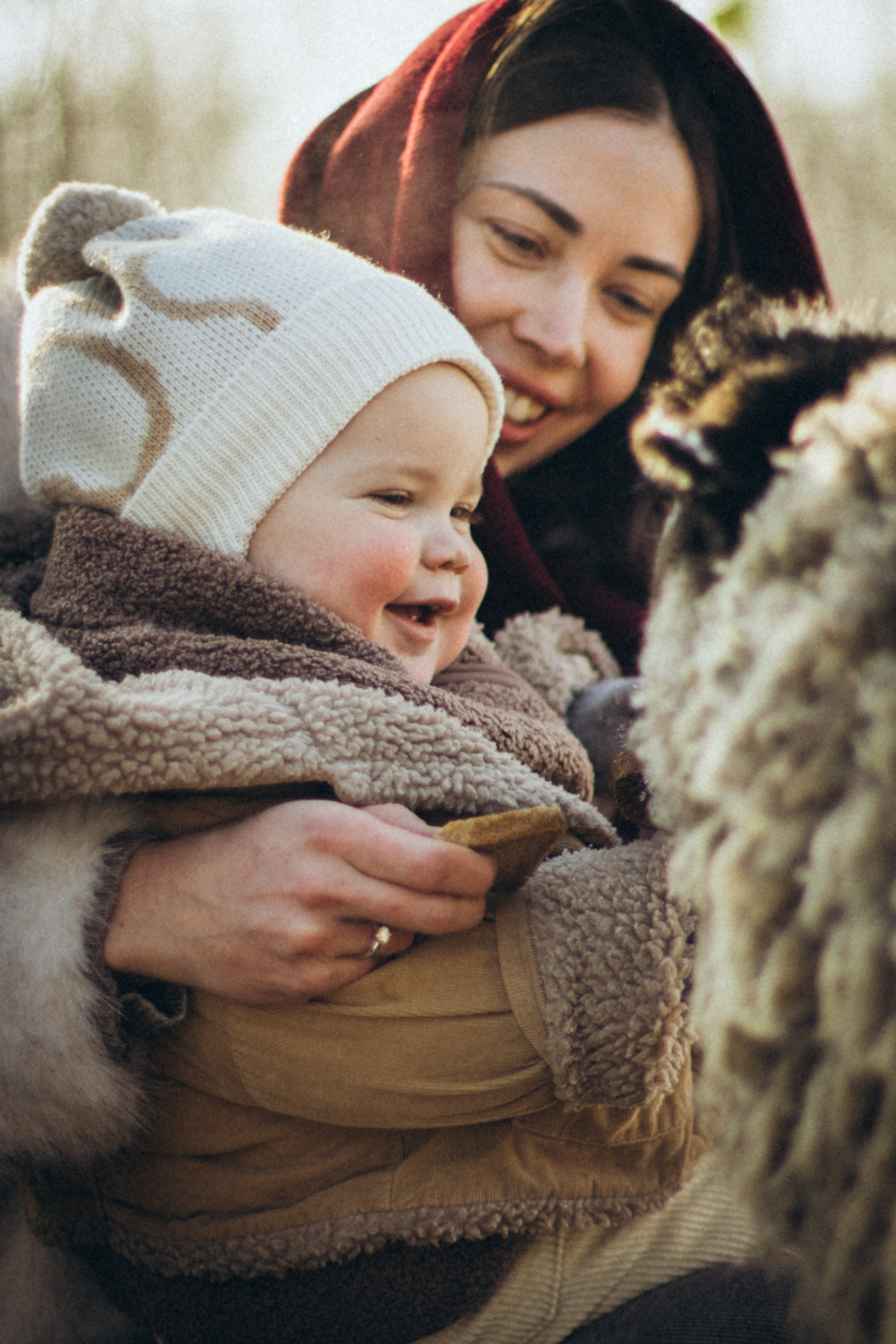 Настя с Сашей и Полей на ферме. Klerout Photographer