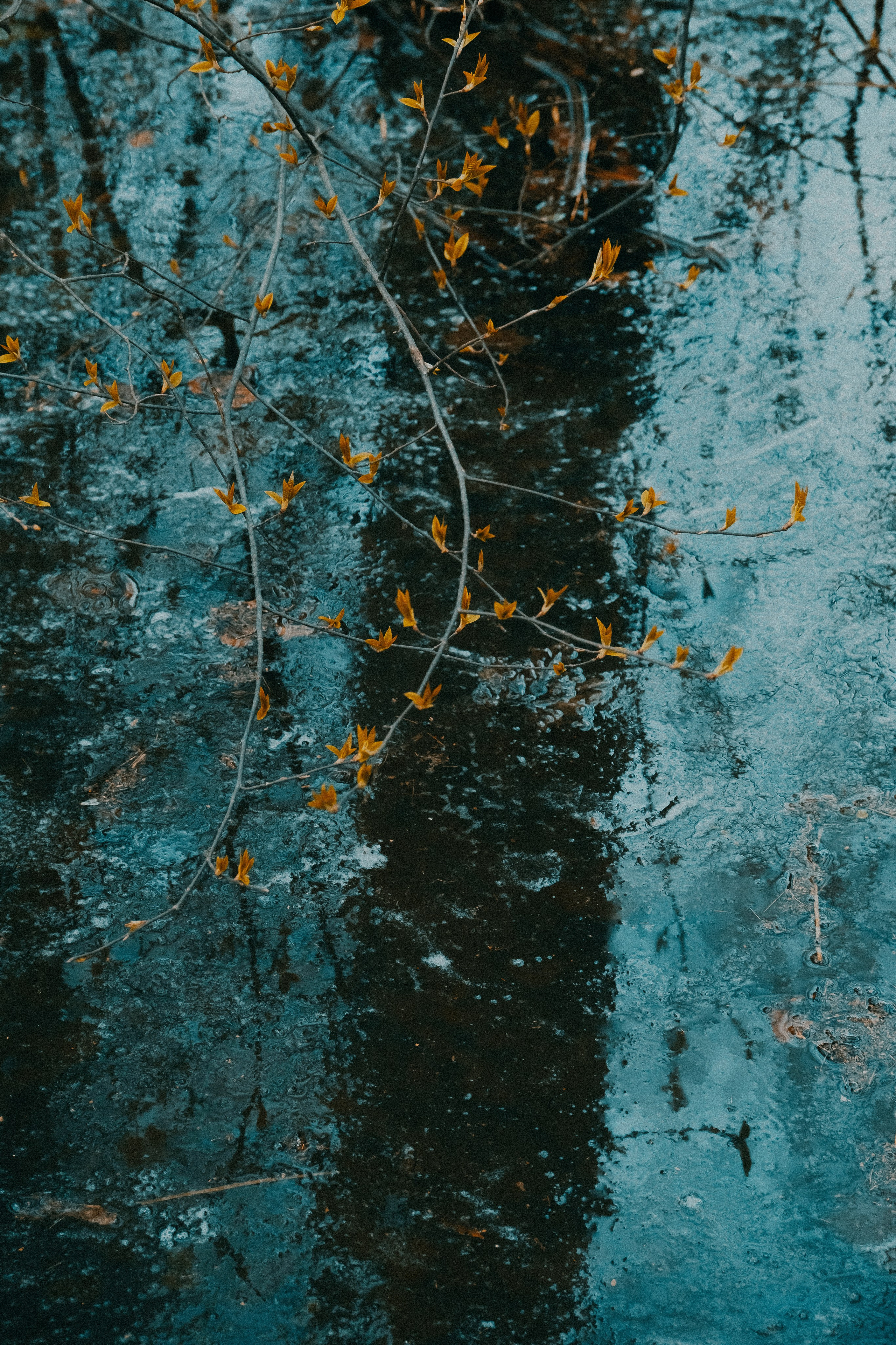 Стрит. Molotov Photographer