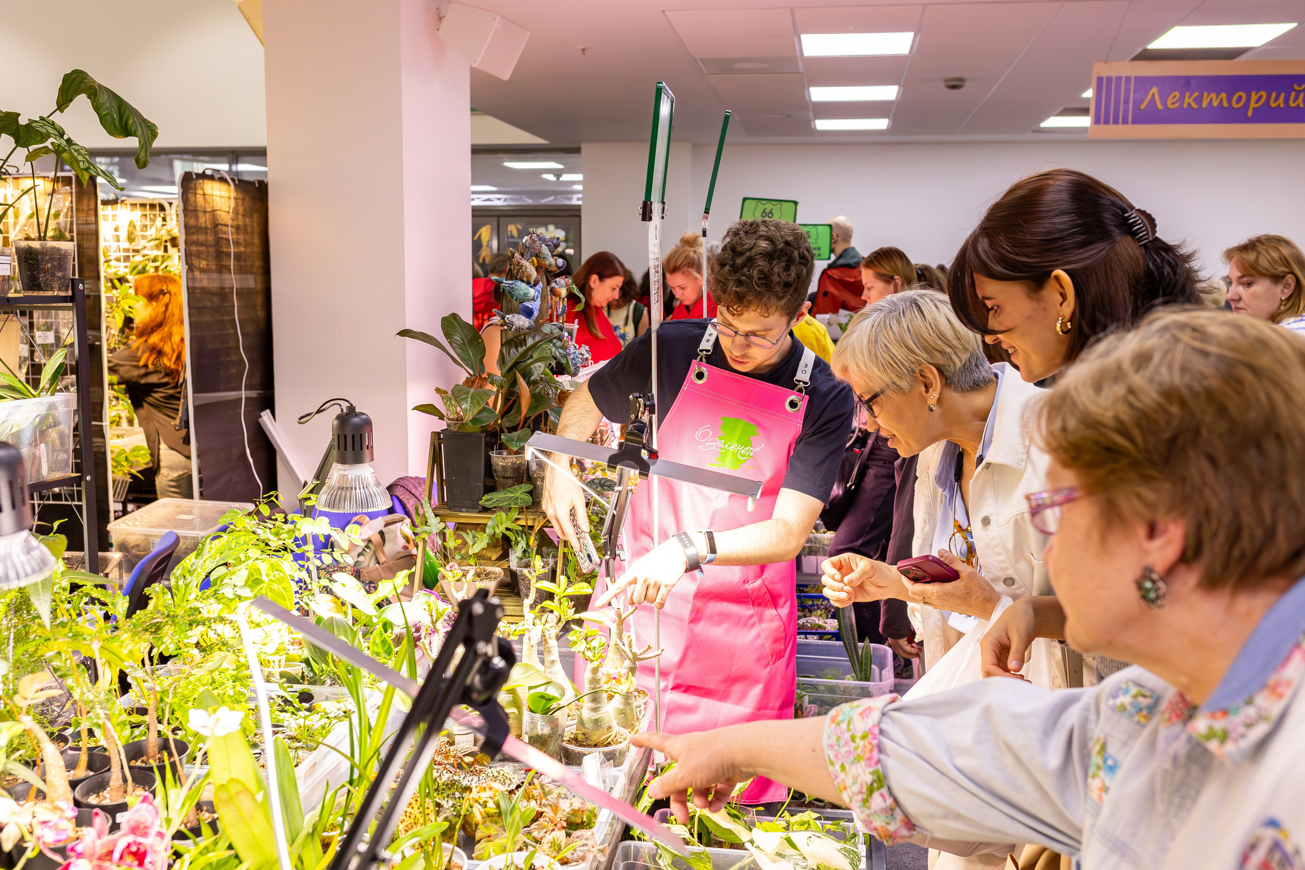 Орхидиум май 2025. Александра Куликова фотограф, Москва