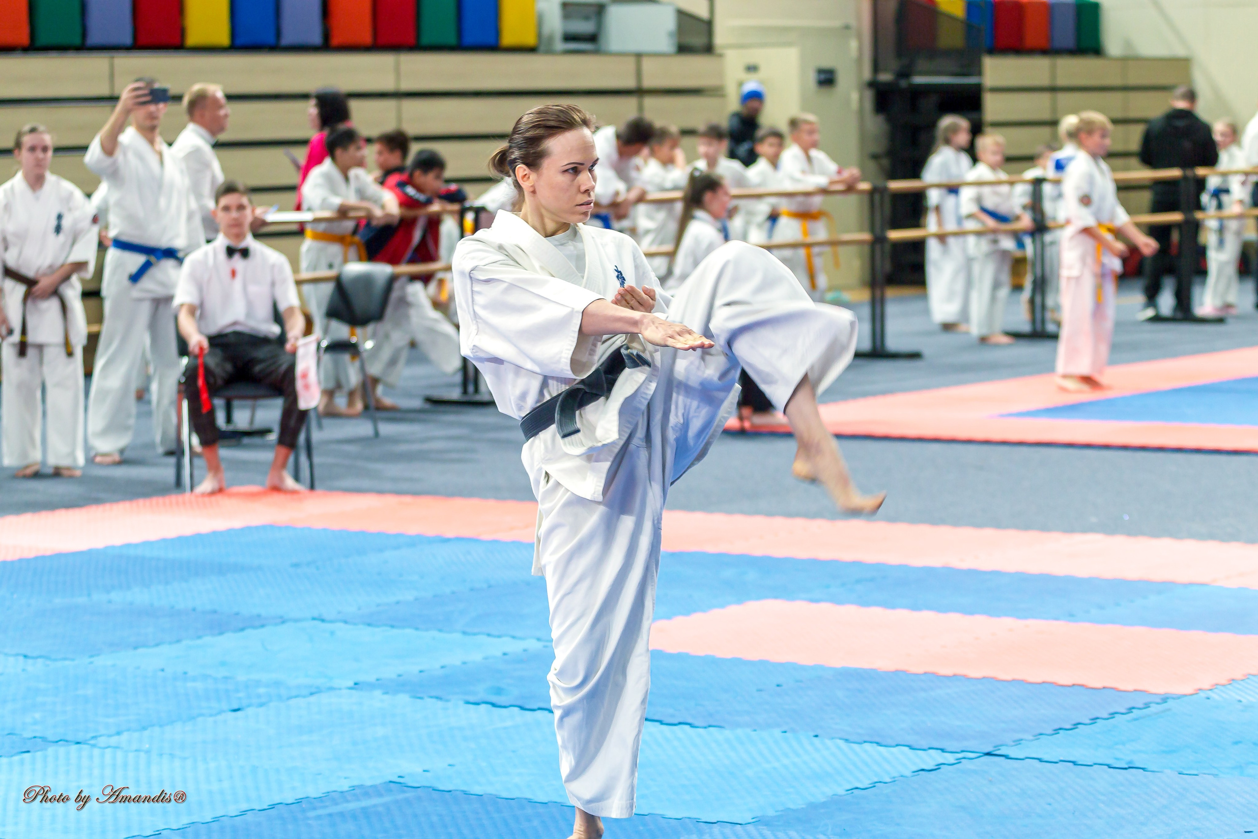 Первенство Московской области по Киокушин в СК «Жаворонки». Репортажная съемка в Москве и области. Анималистика