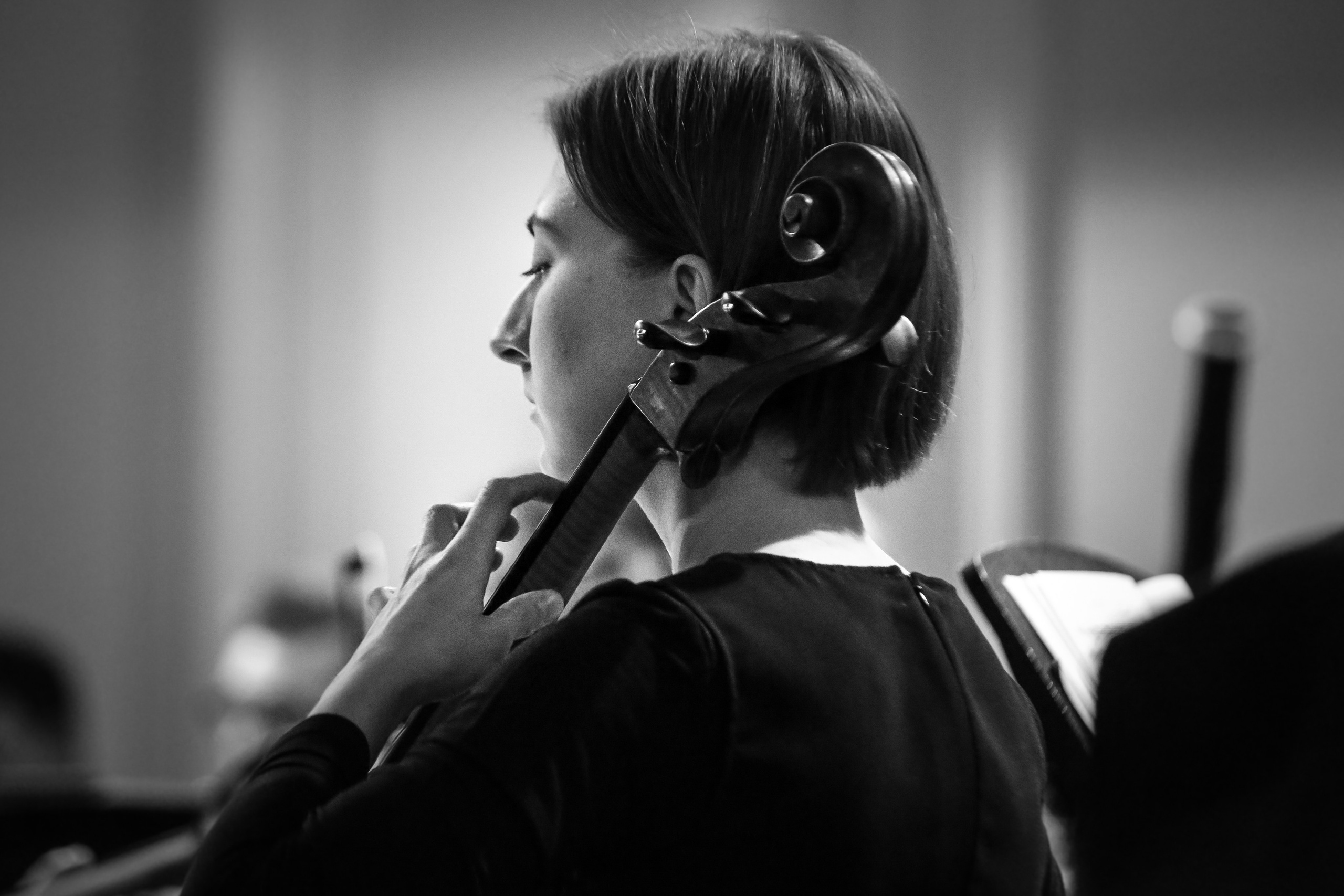 Концерт с Квартетом им. Бородина. Дарья Письменюк / Darya Leitstern — фотограф, музыкант, журналист, путешественник