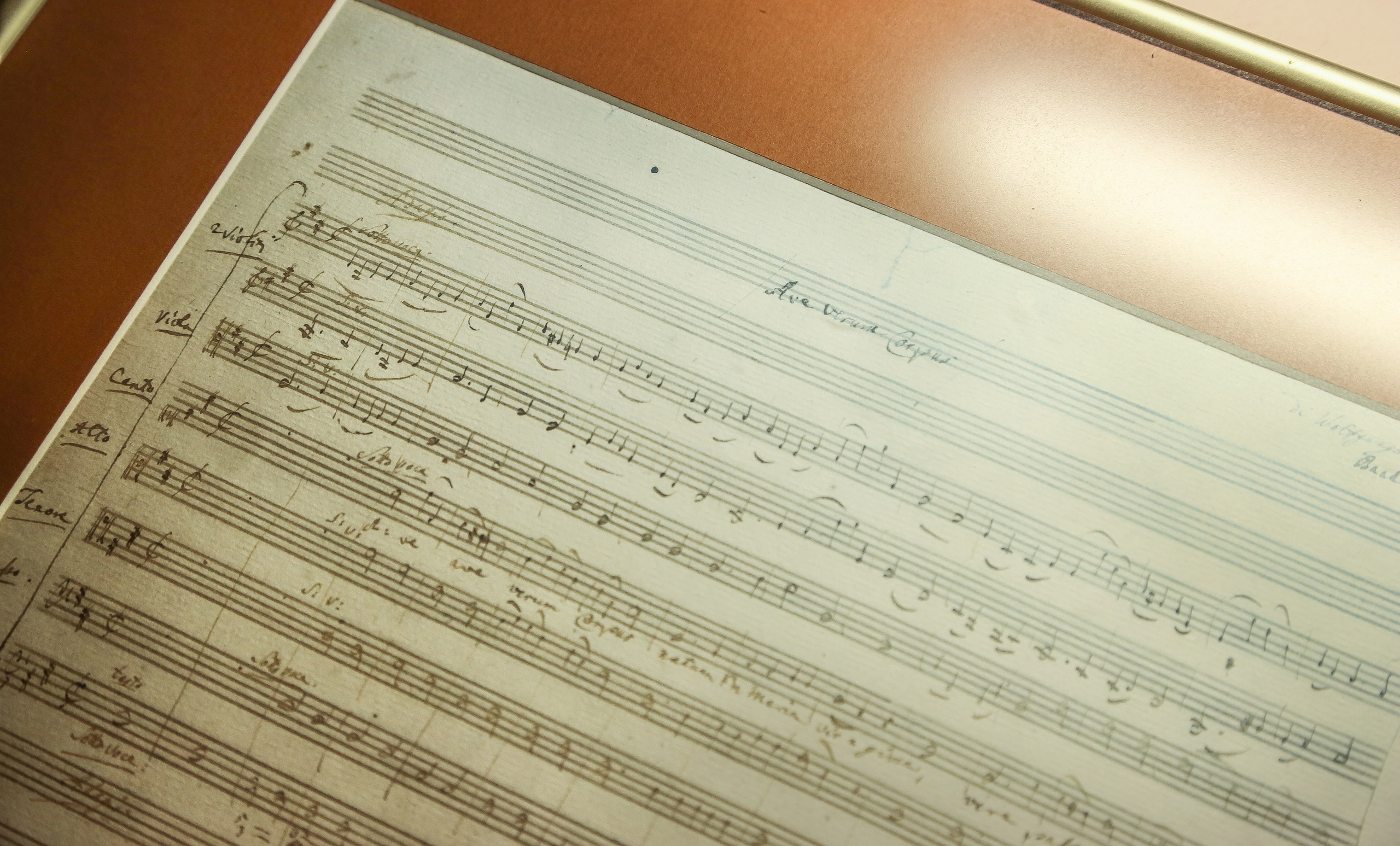 Австрия: Баден. Дарья Письменюк / Darya Leitstern — фотограф, музыкант, журналист, путешественник