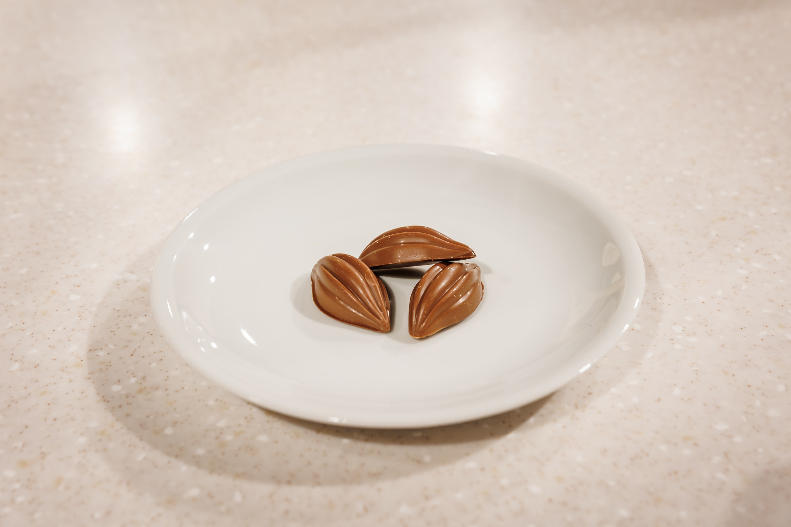 Кулинарный мастер-класс Irca «Ресторация». Репортажный фотограф Минск ❘ Костецкий Илья ❘ Беларусь