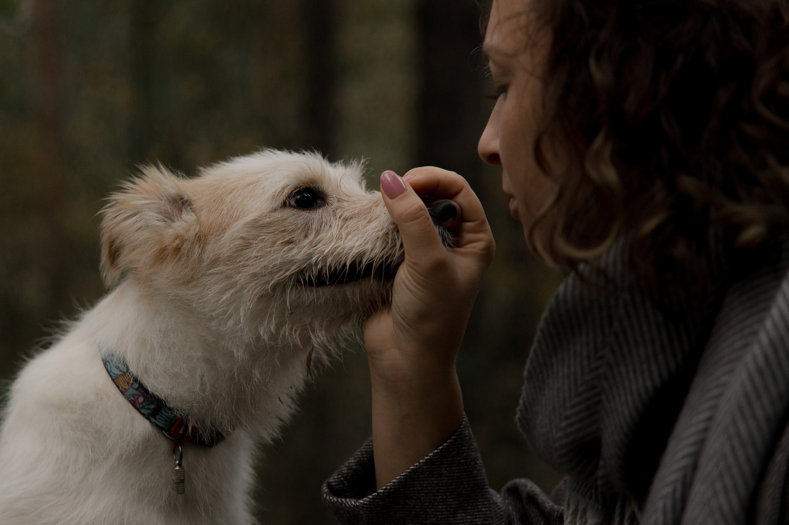 Трое, считая собаку. Wed Photographers 📷 Saint Petersburg
