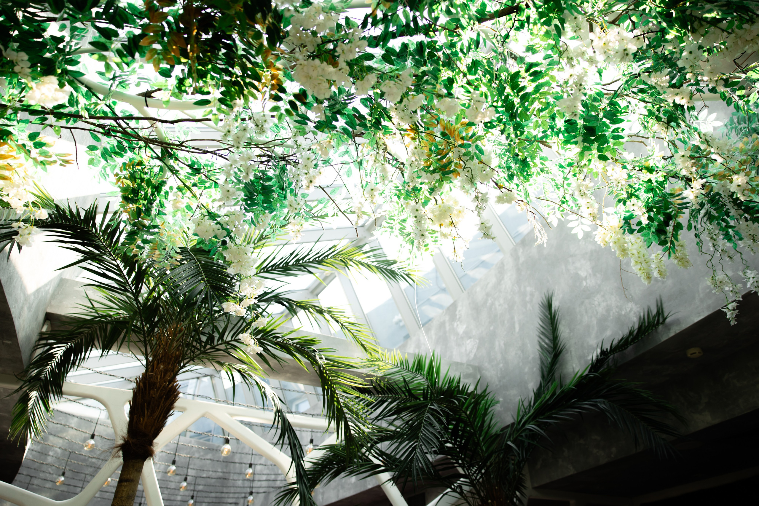 MAXLINE. Свадебный фотограф Минск РБ