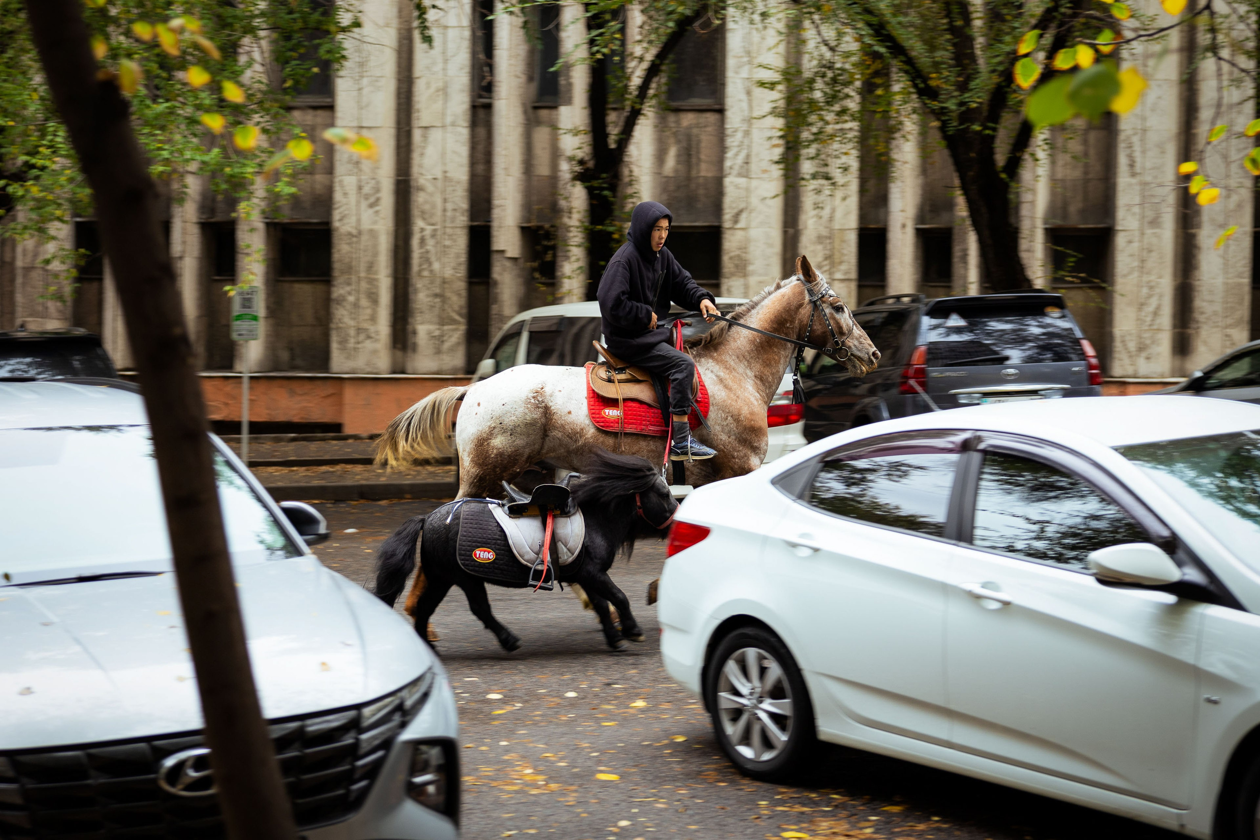 Казахстан (осень 2024). Фотограф Виноградов Константин
