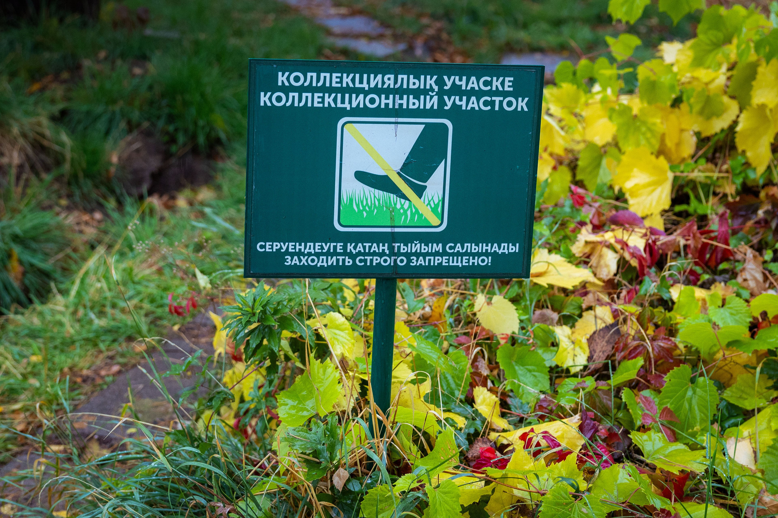 Казахстан (осень 2024). Фотограф Виноградов Константин