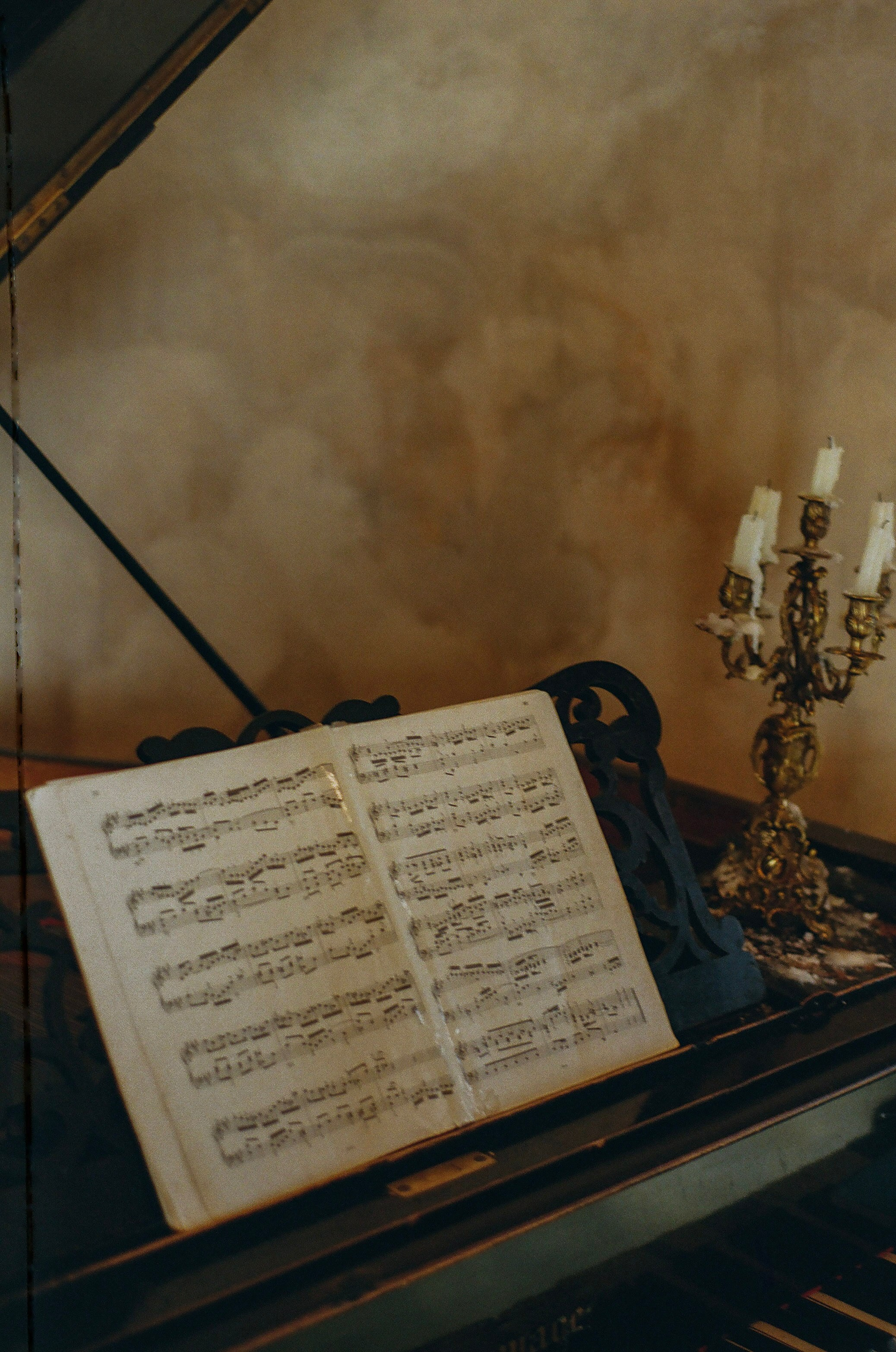 Elizabeth — episode 1. Пленочный фотограф