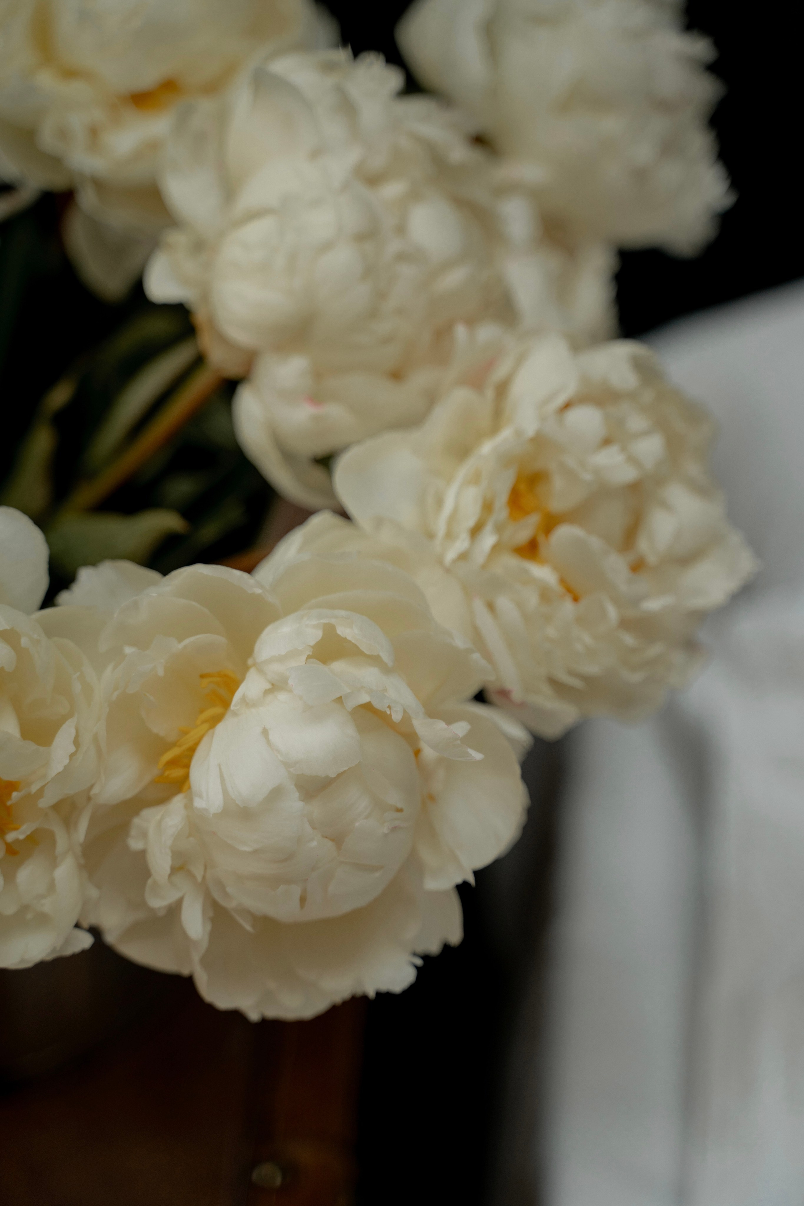 Однажды в отеле. Портретный фотограф в Москве