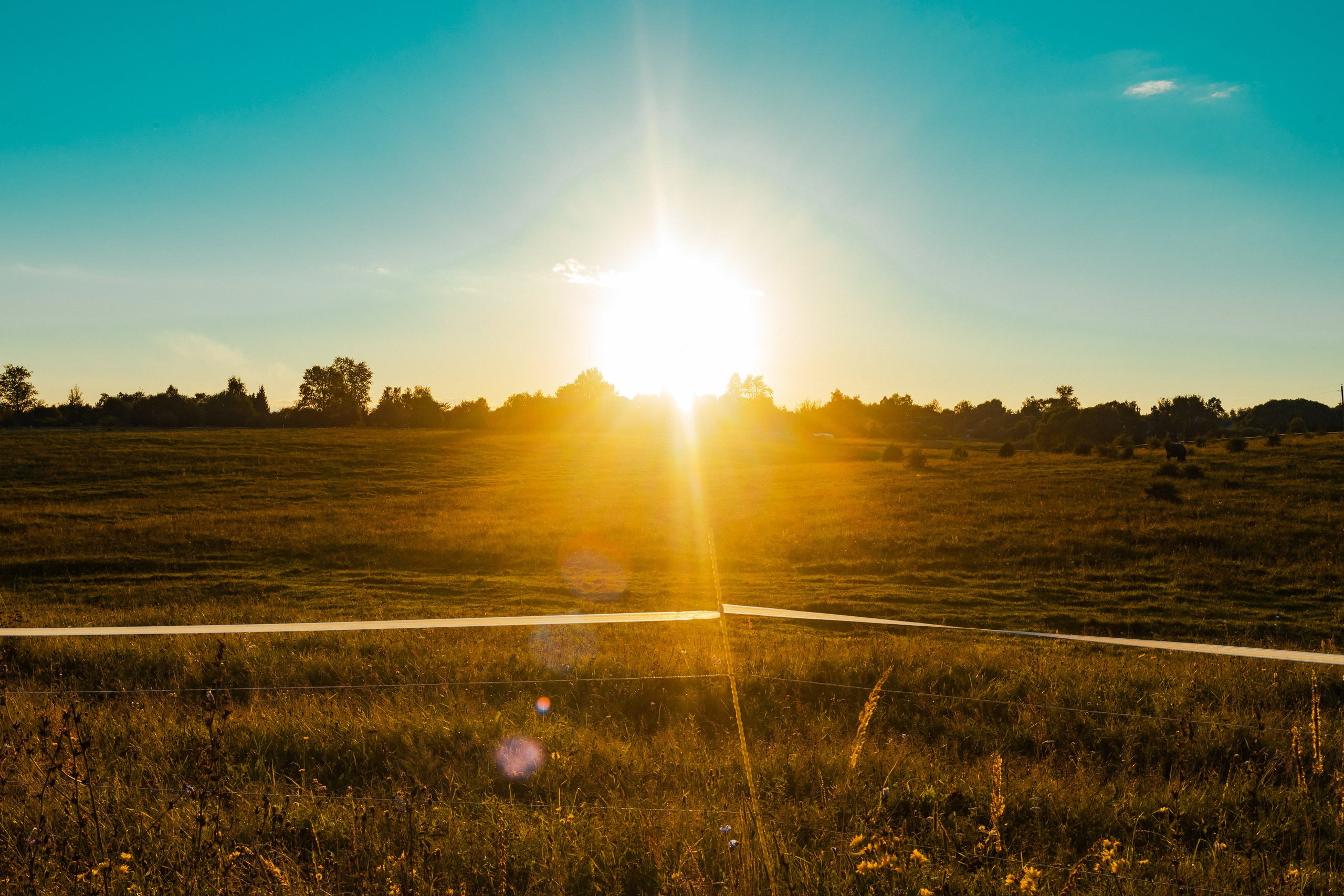 Деревня Мишнево | Калужская область. Папка кадров 📁