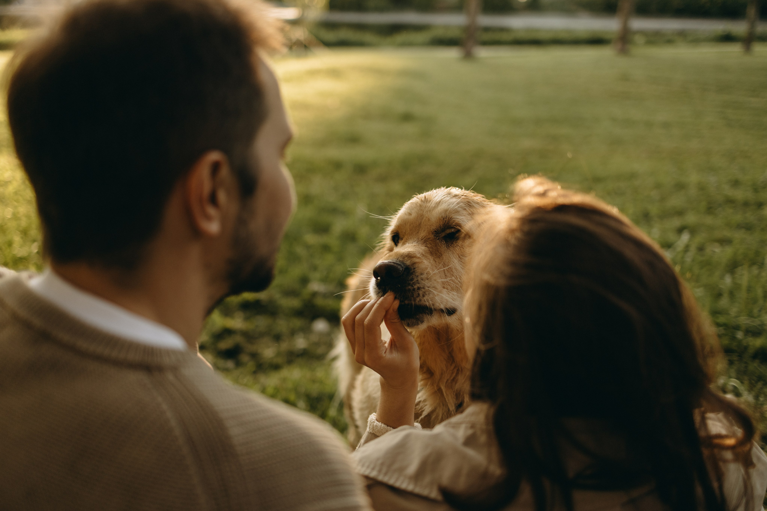 Пенни и ребята. Фотограф — Анималист | Санкт-Петербург