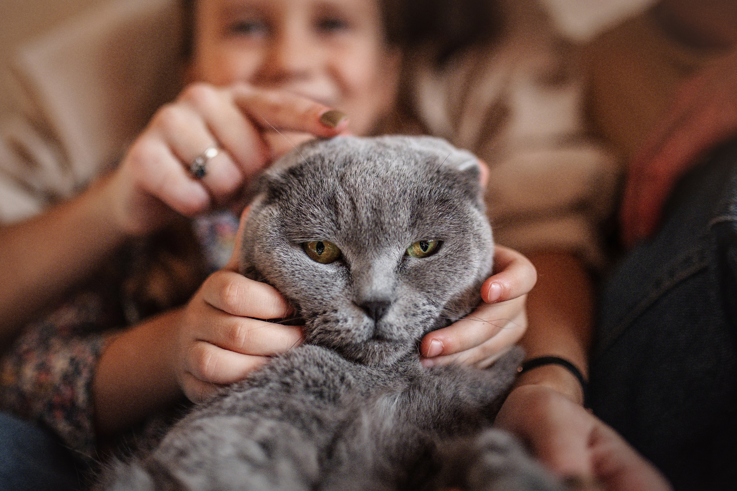Тарасенко ДОМА. Семейный и детский фотограф |Брянск| Анастасия Перепелкина