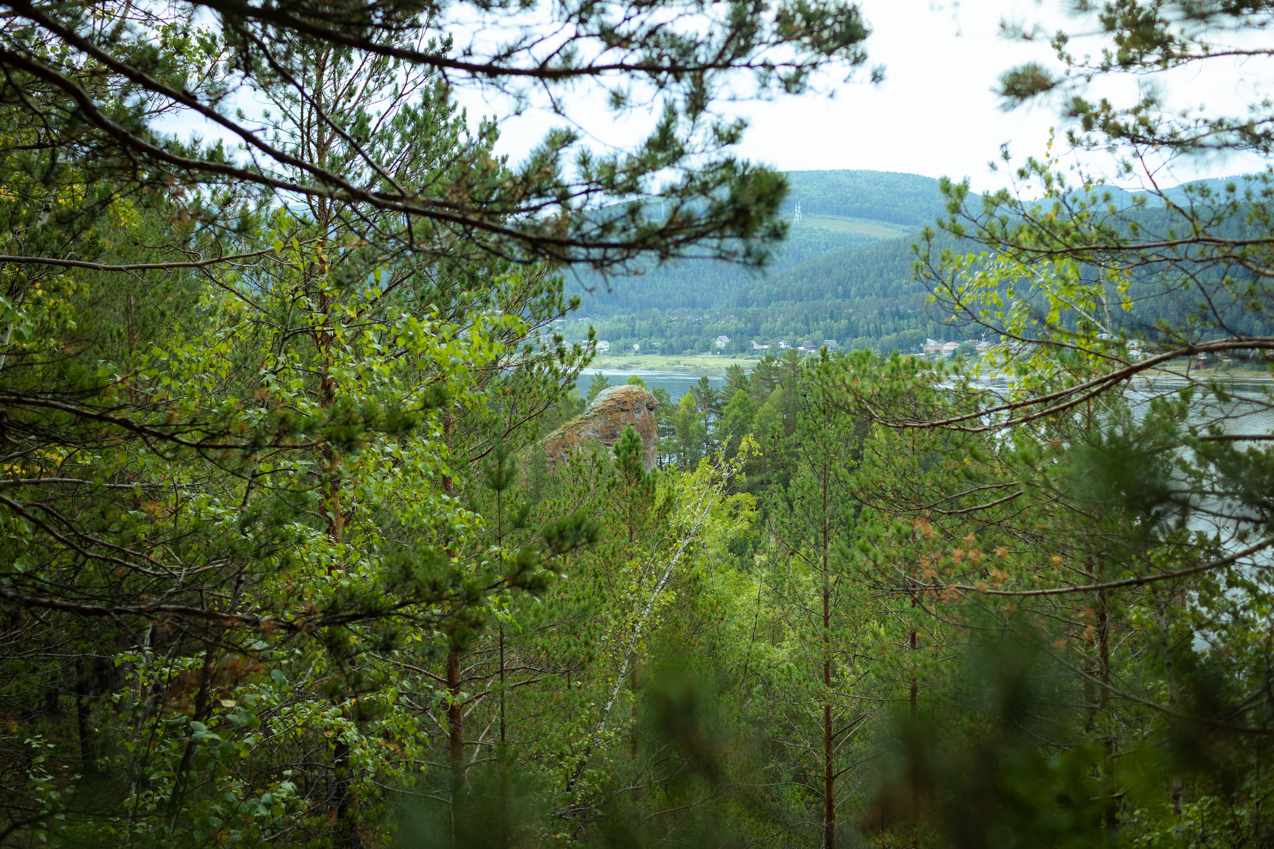 Красноярск (осень 2023). Фотограф Виноградов Константин