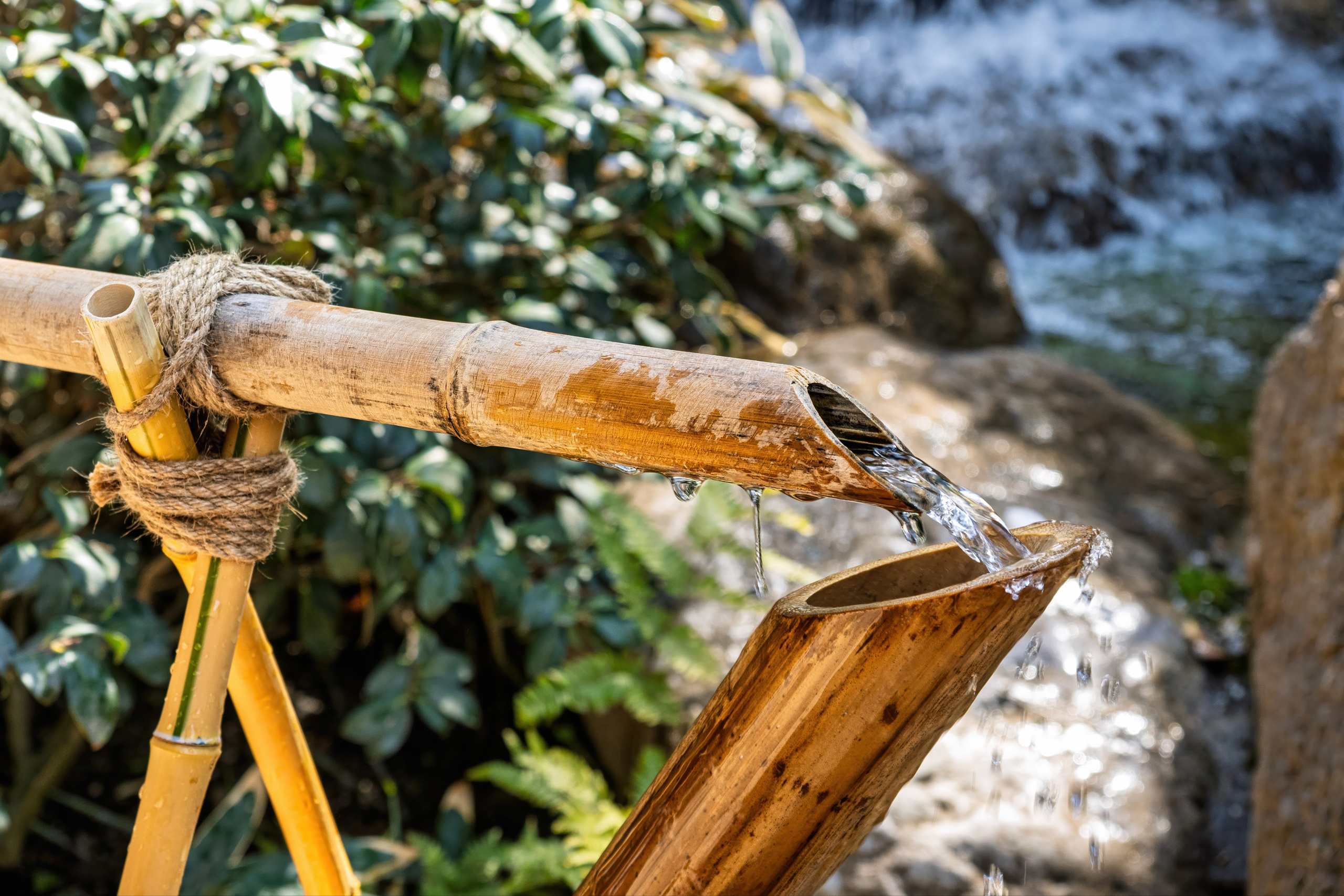 Крым, Утес, 2021 год. Фотограф Никифоров-Гордеев Сергей. Москва и МО