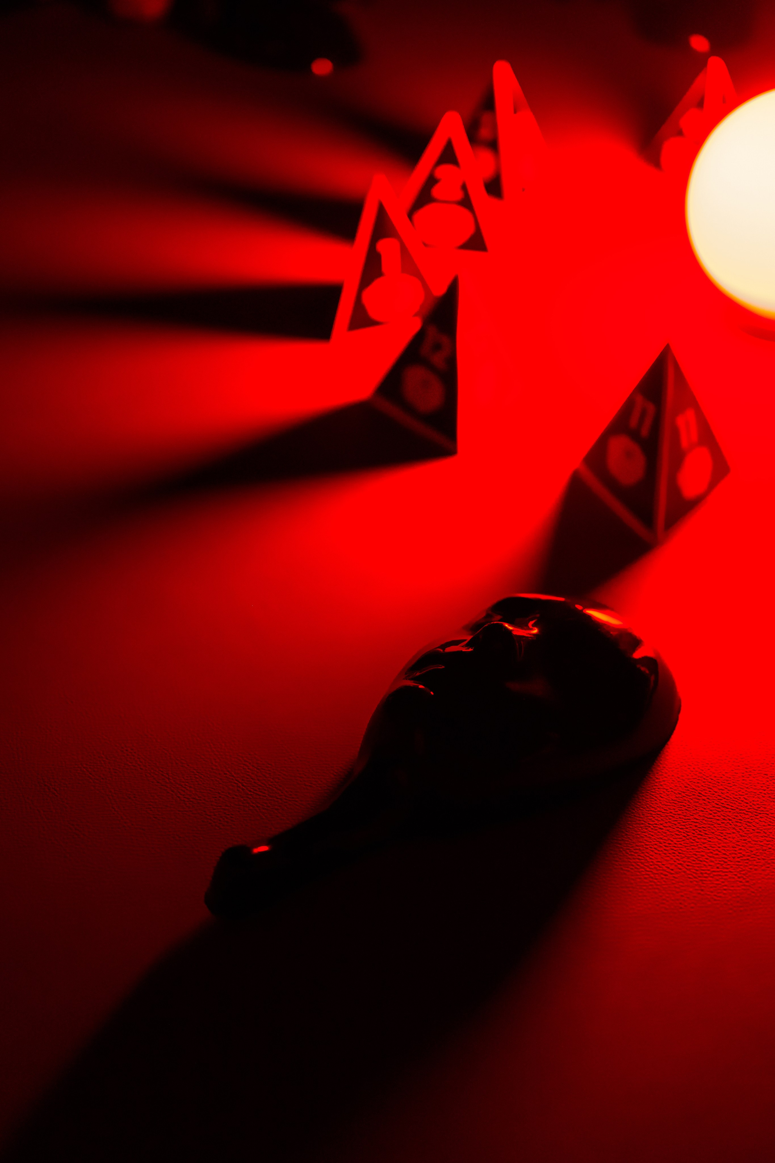 08.02.26. Свадебный и семейный фотограф в Краснодаре