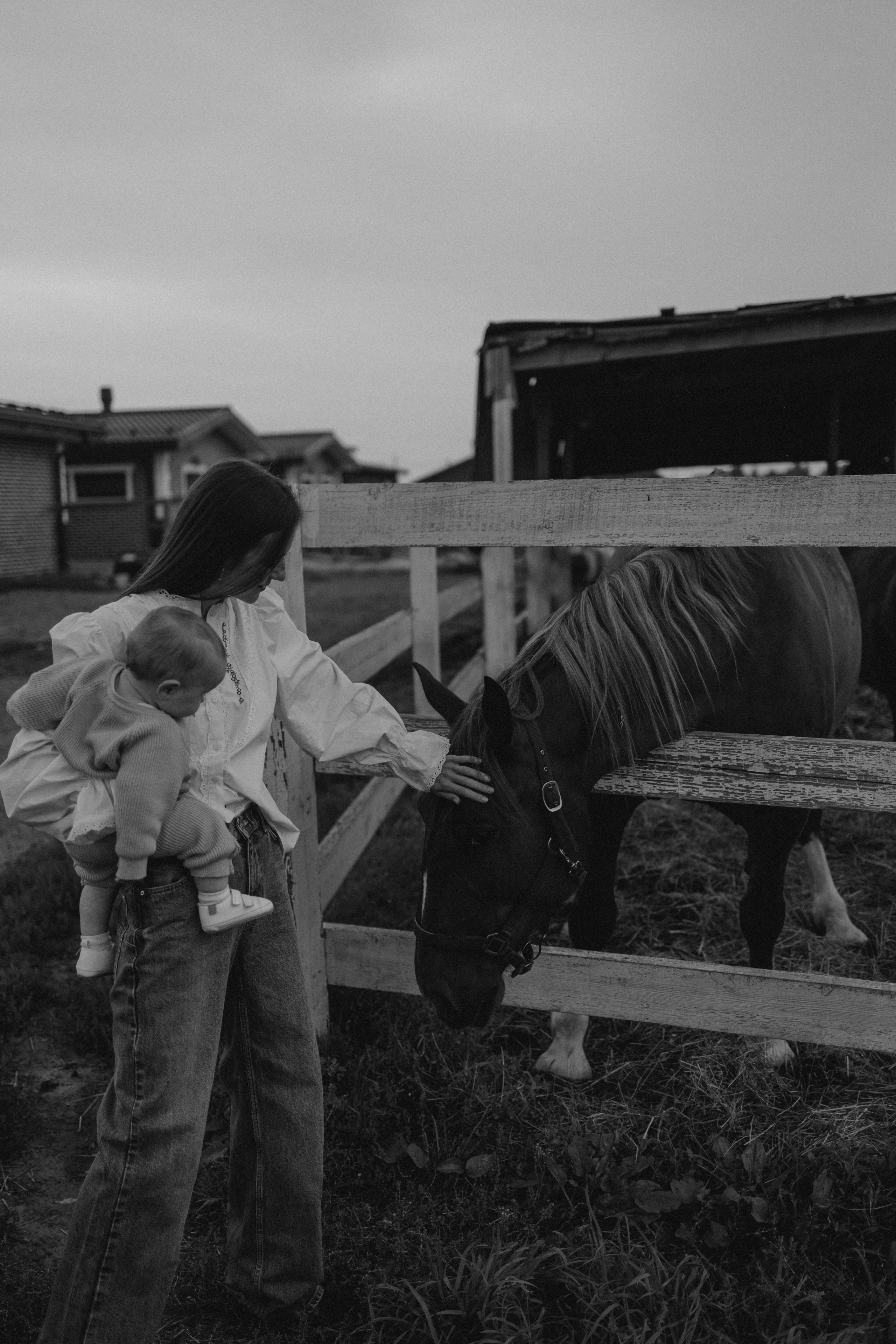 Семейная. Фотораф — анималист Мария Шистка
