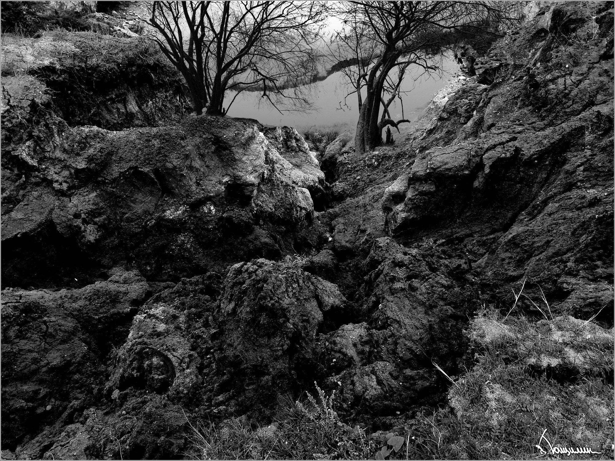 2016. Тащилин Сергей. Фотографии. Жизнь. Хобби