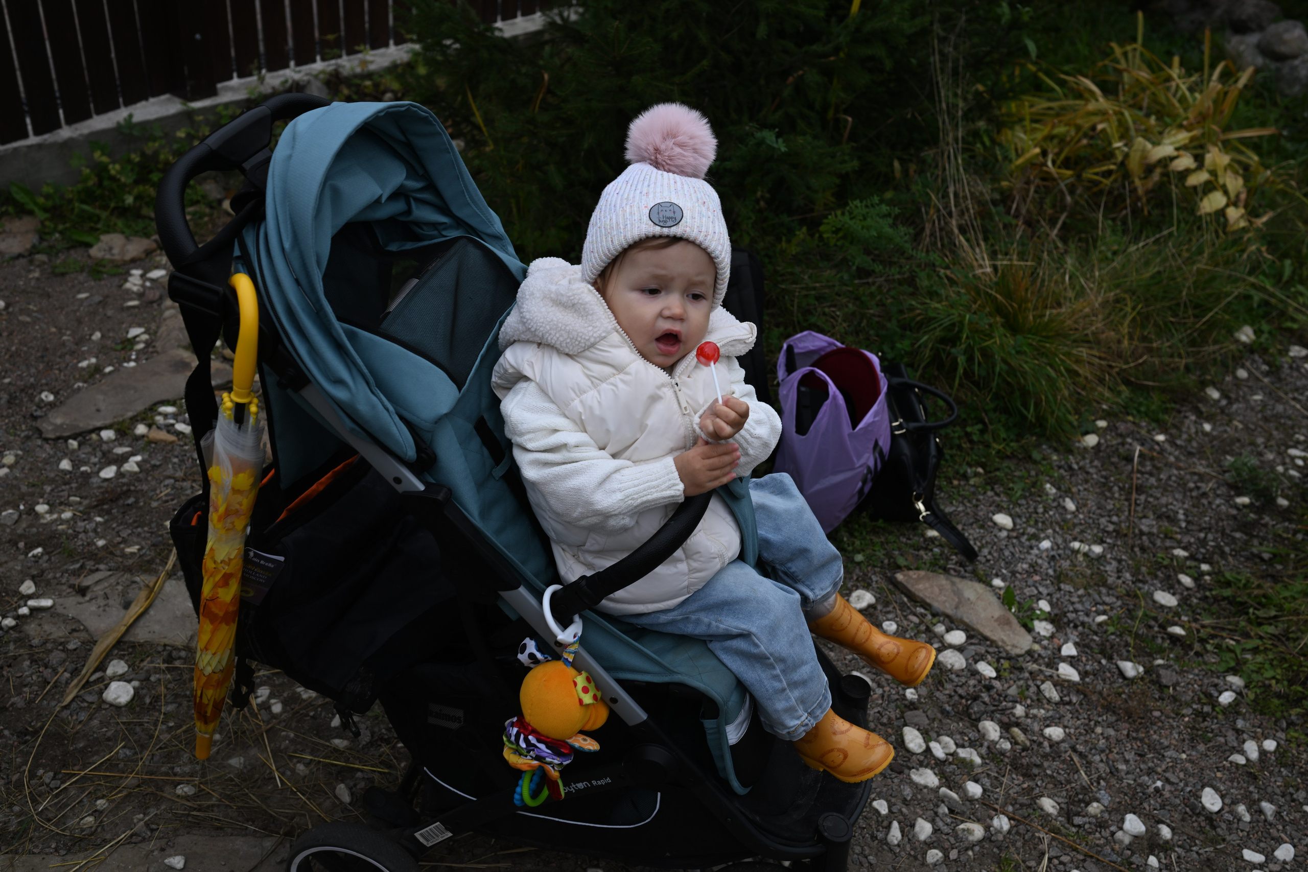 РЕГИНА ОСЕНЬ. Фотограф в Санкт-Петербурге Сафронов Николай
