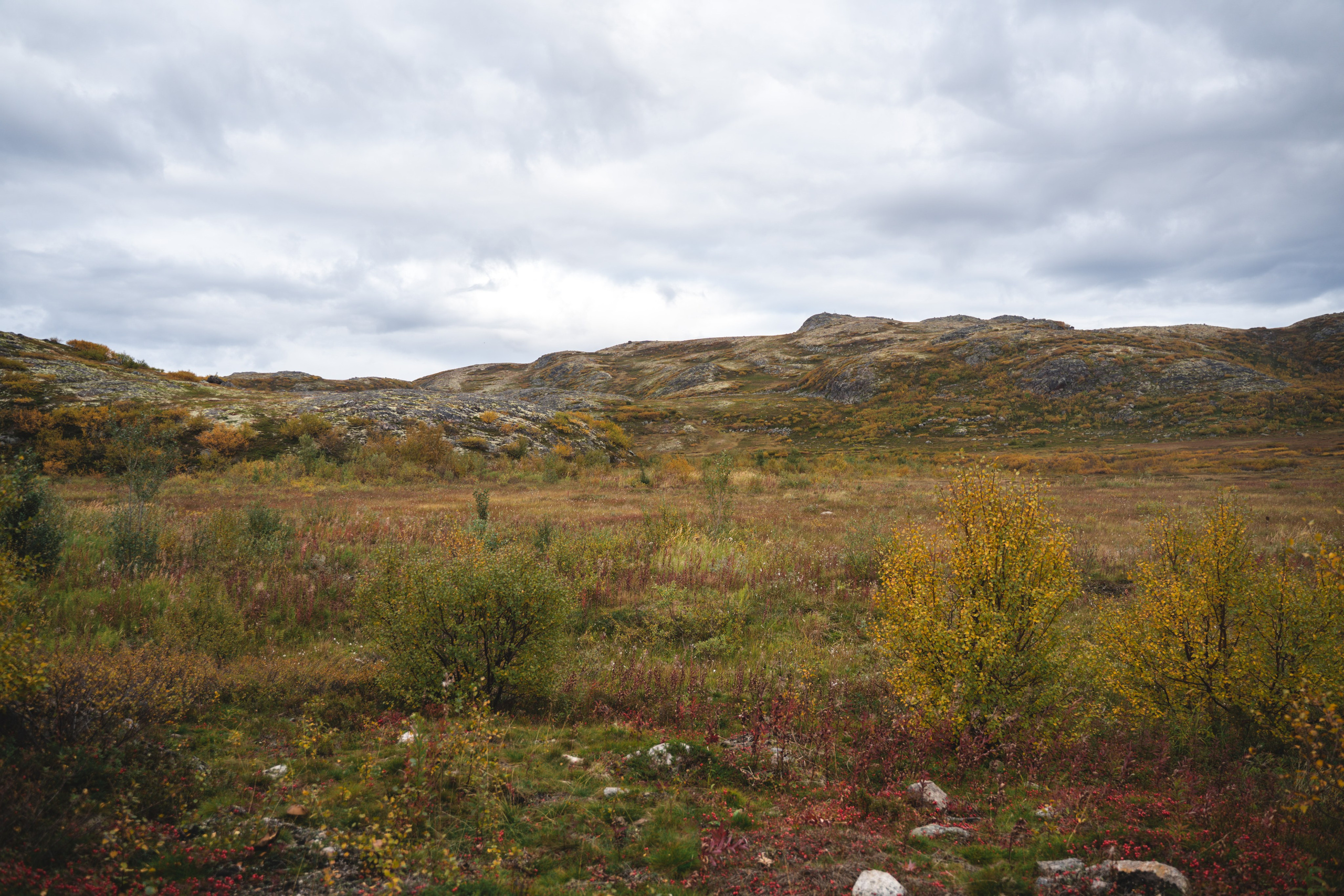 Териберка 2023. Фотограф Ольга Пучкова