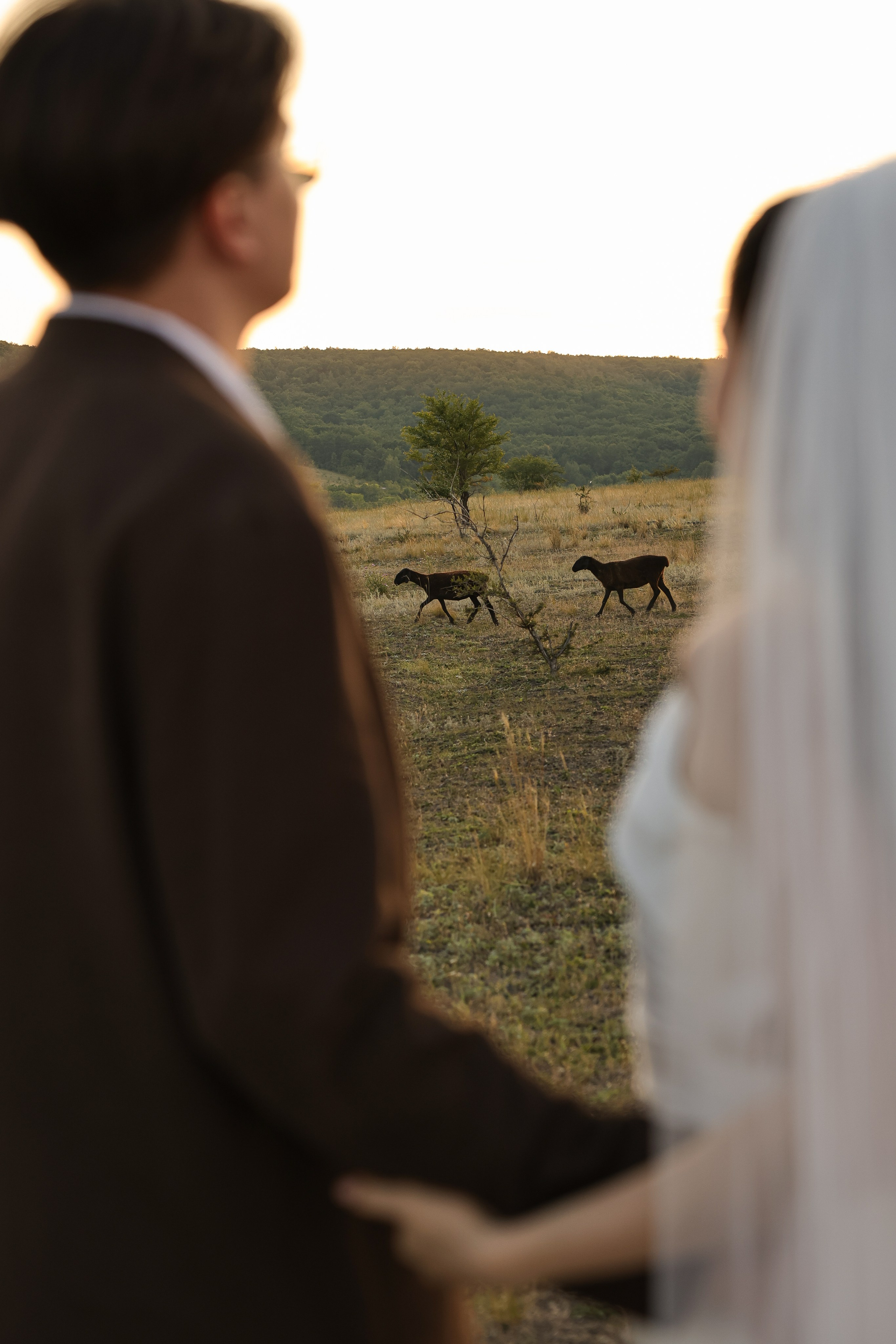 Матвей и Алина. Анастасия Камал. Фотограф Саратов