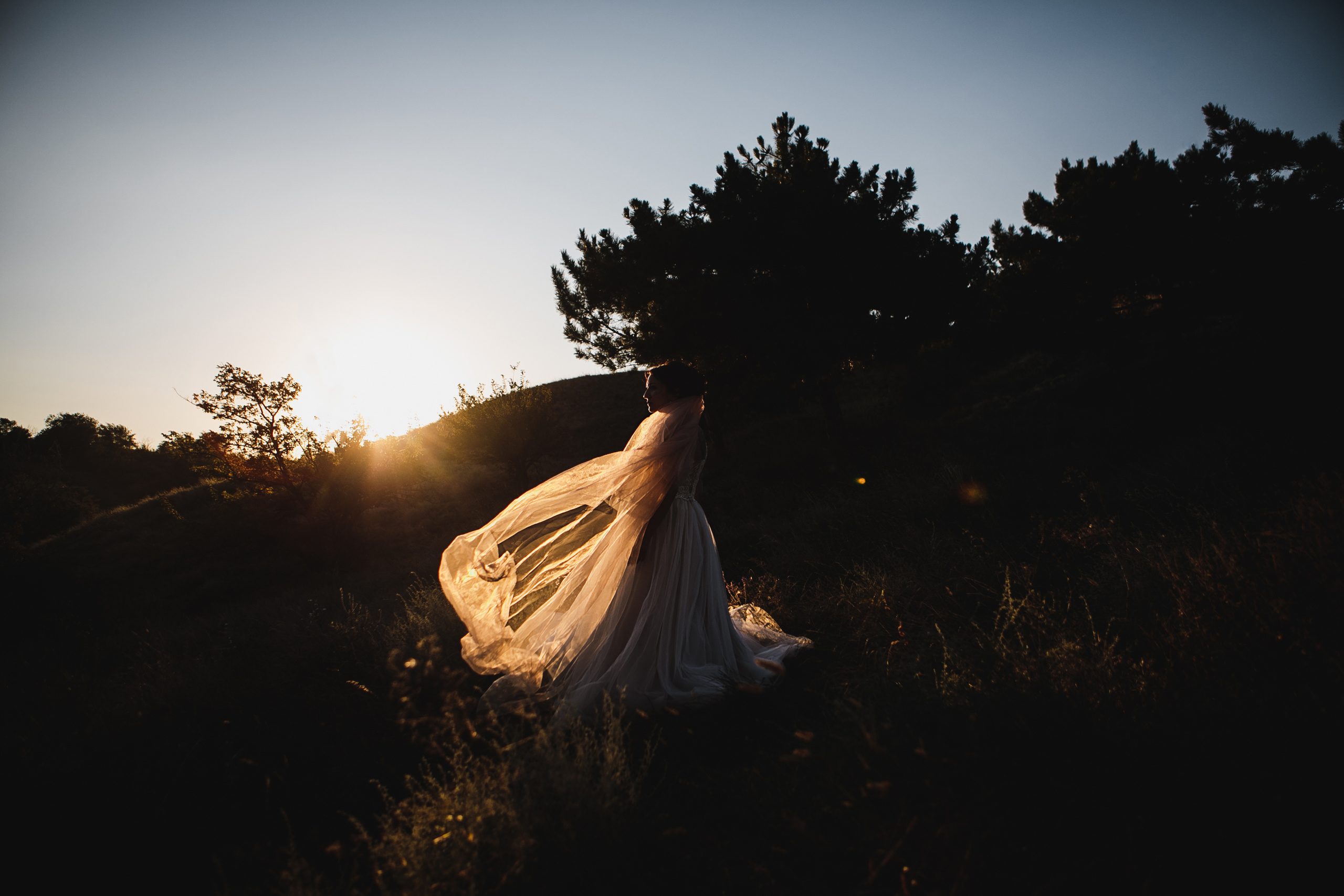 Свадьбы. Фотограф Дмитрий Олейник в Волгодонске и Ростове