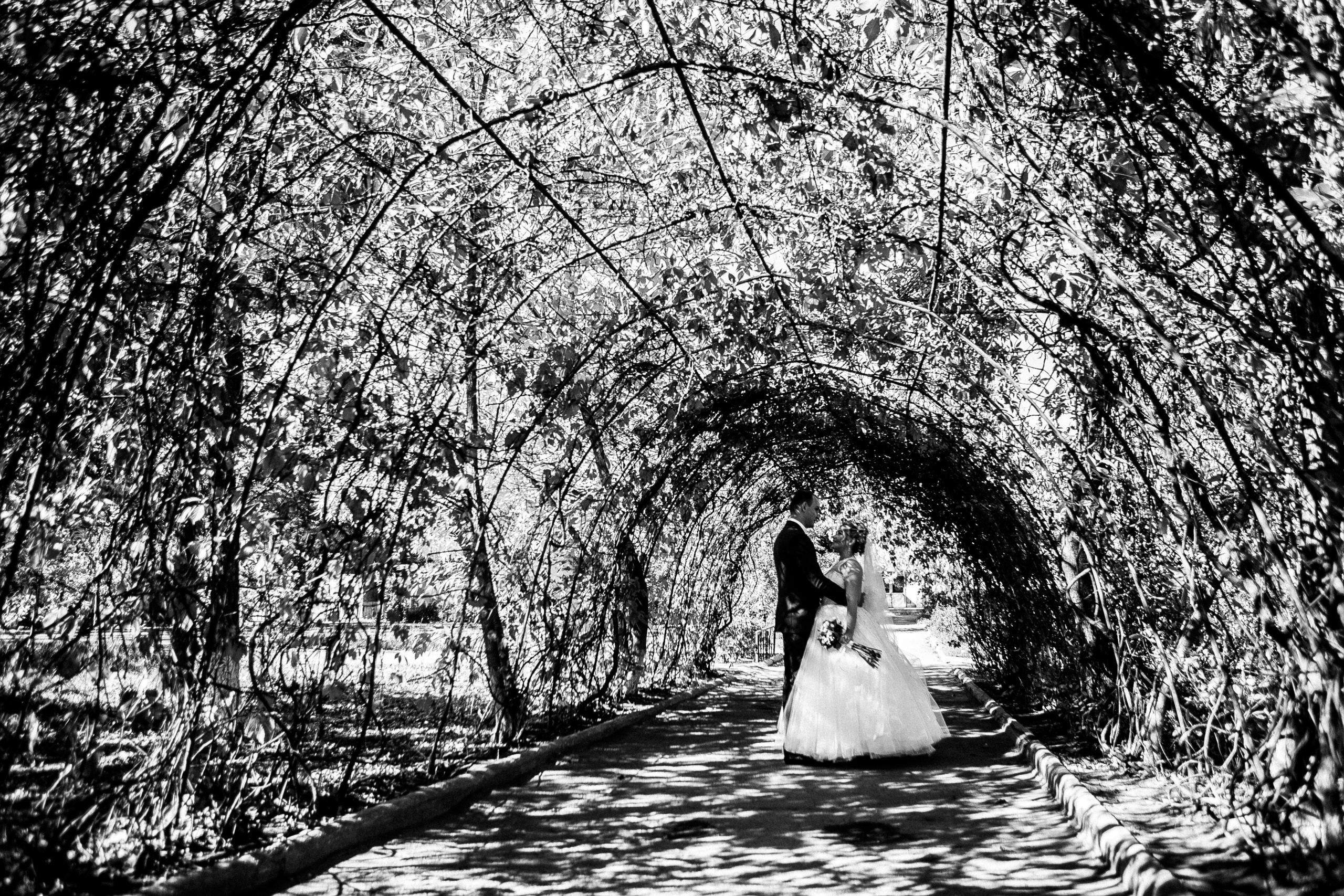 Свадьбы. Фотограф Дмитрий Олейник в Волгодонске и Ростове