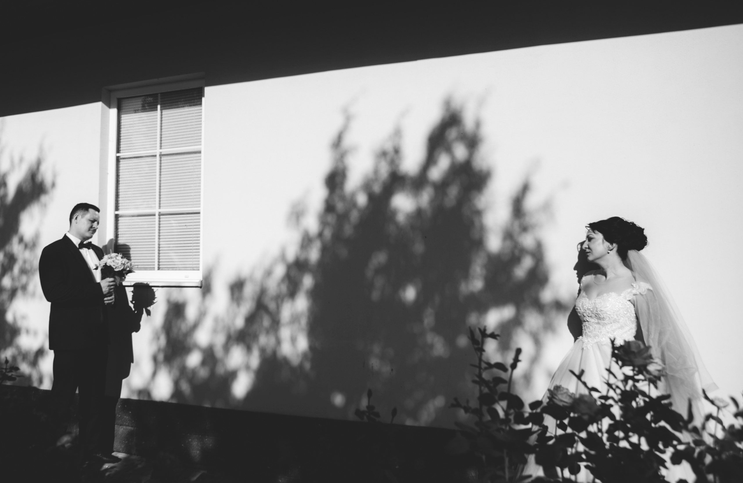 Свадьбы. Фотограф Дмитрий Олейник в Волгодонске и Ростове