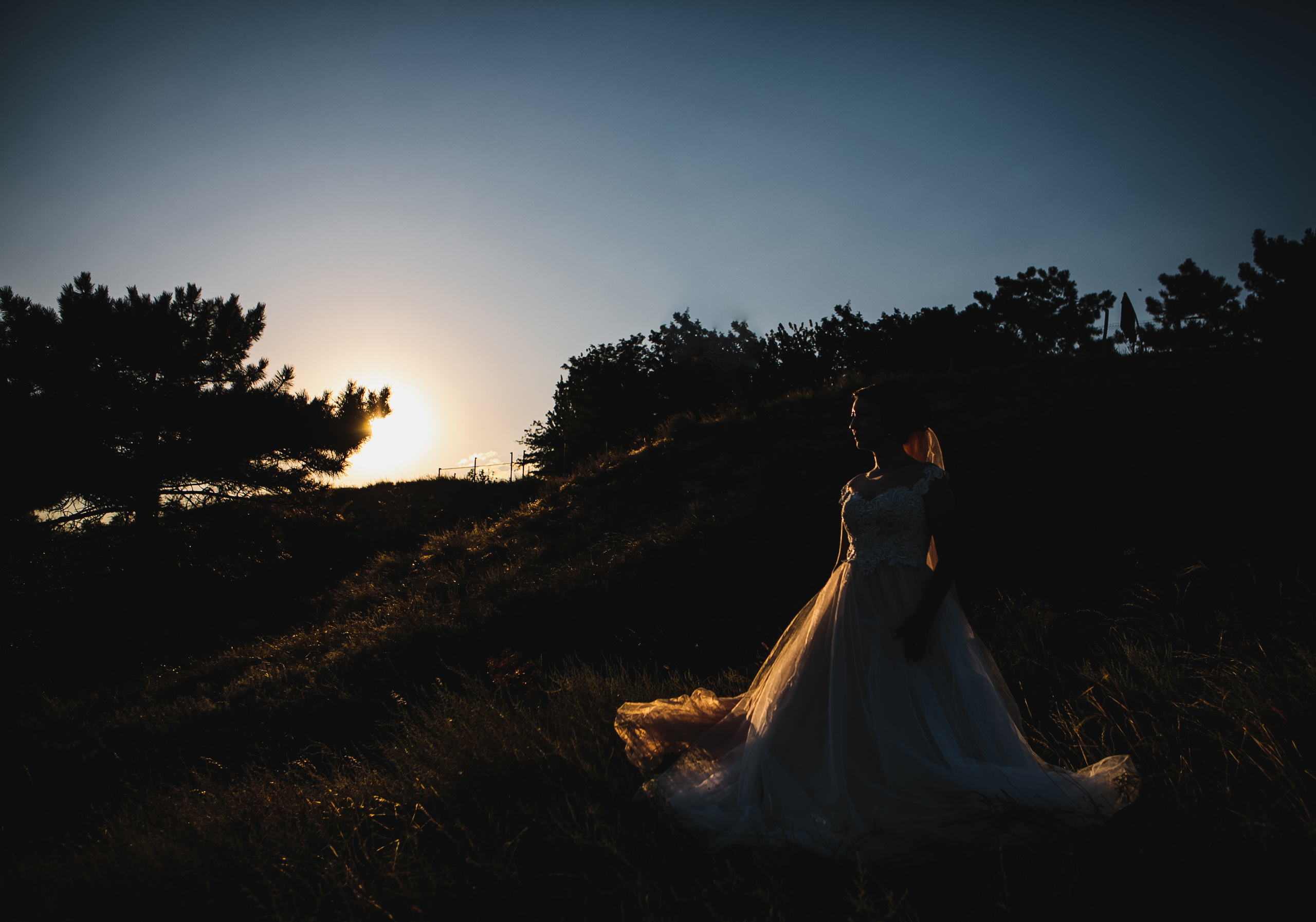 Свадьбы. Фотограф Дмитрий Олейник в Волгодонске и Ростове