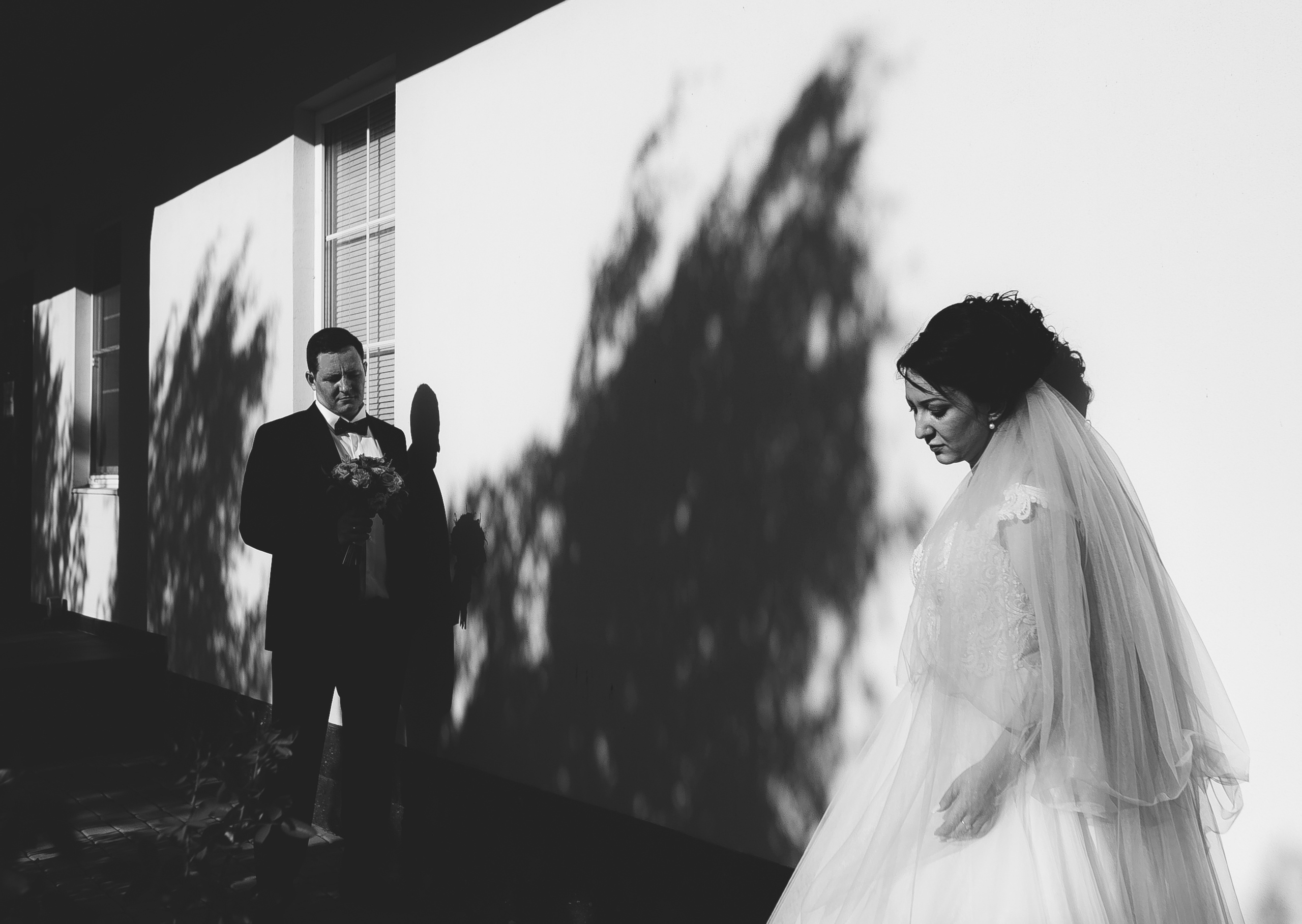 Свадьбы. Фотограф Дмитрий Олейник в Волгодонске и Ростове